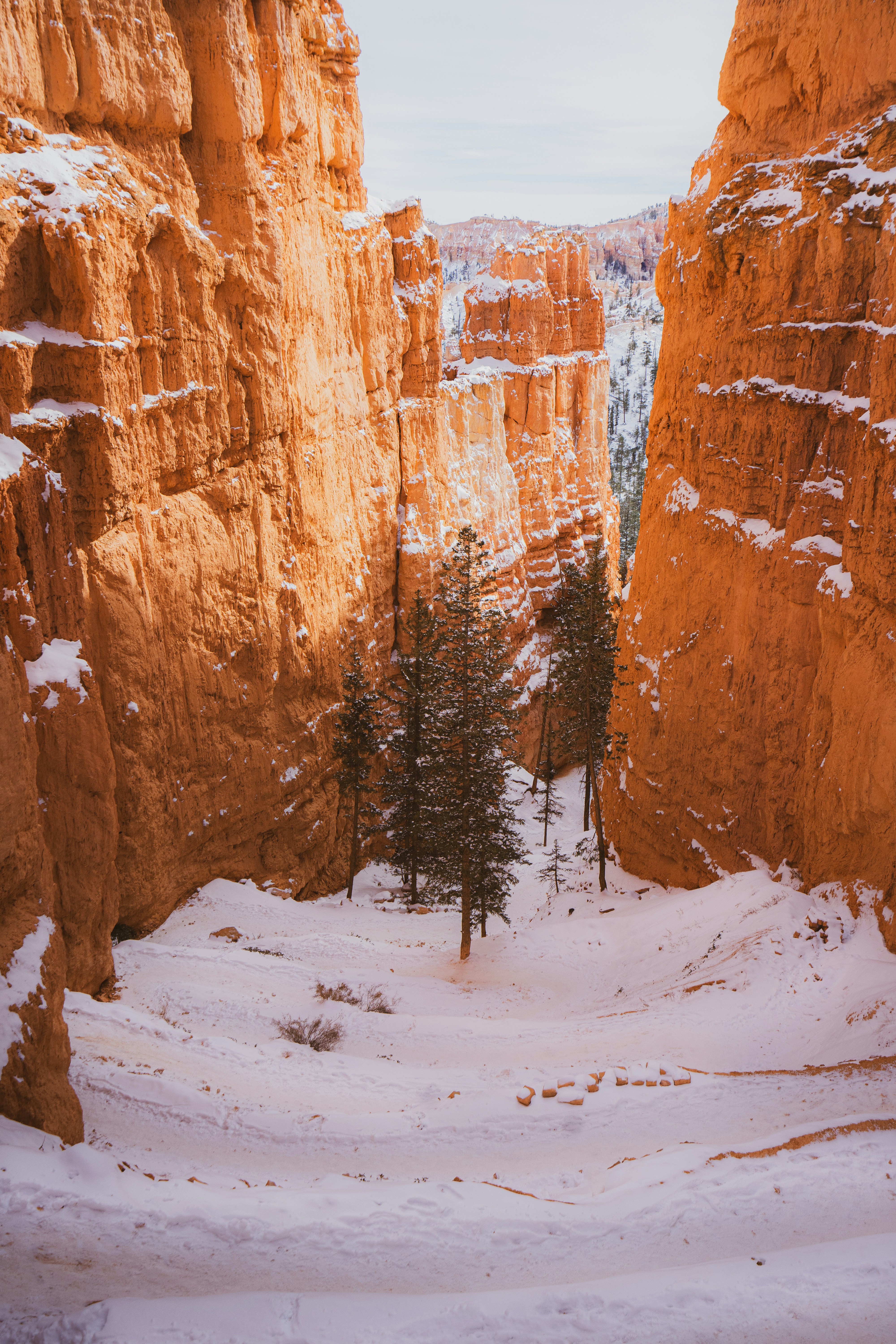 Photo by pics_by_harry