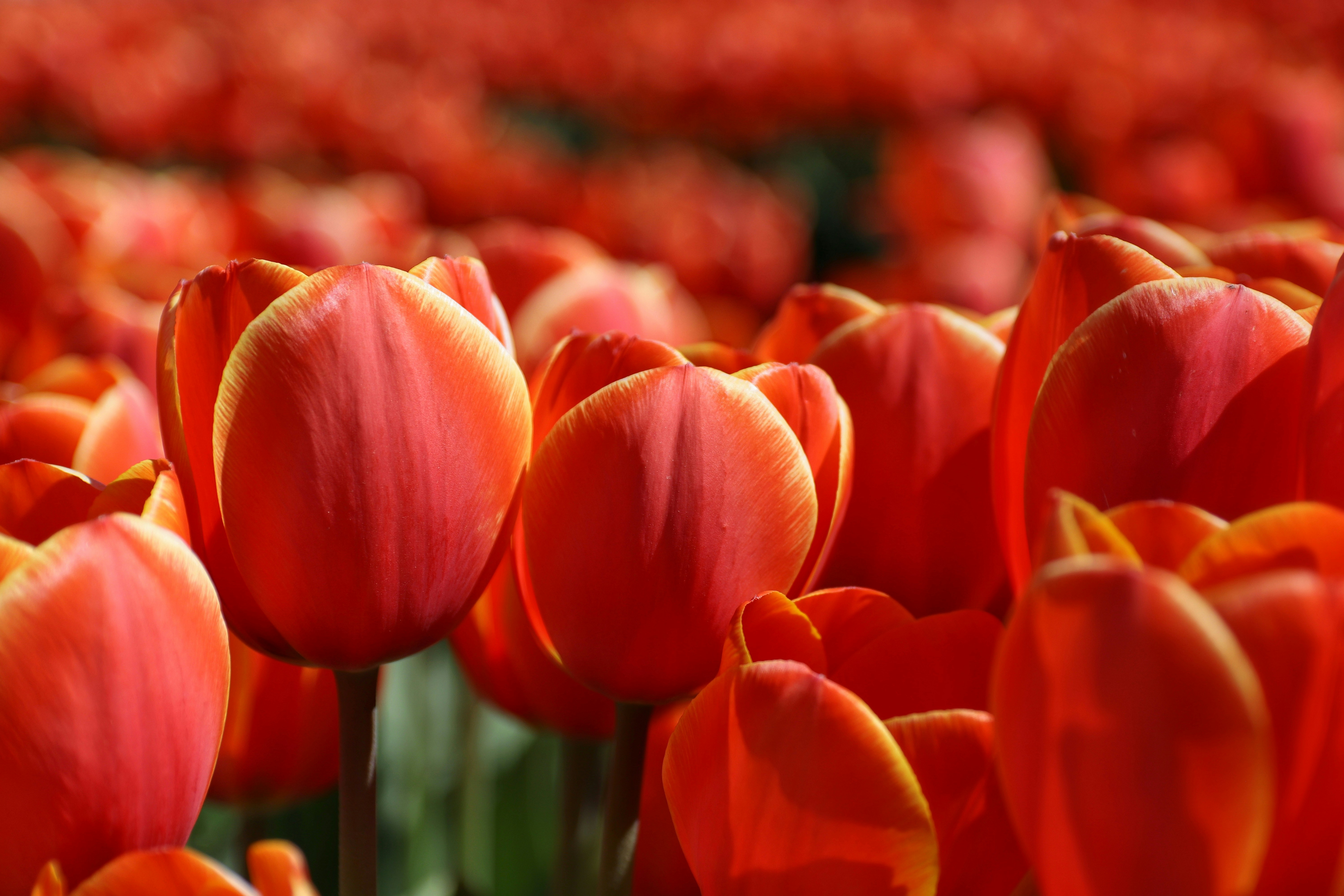 Photo by m_mendez_ix