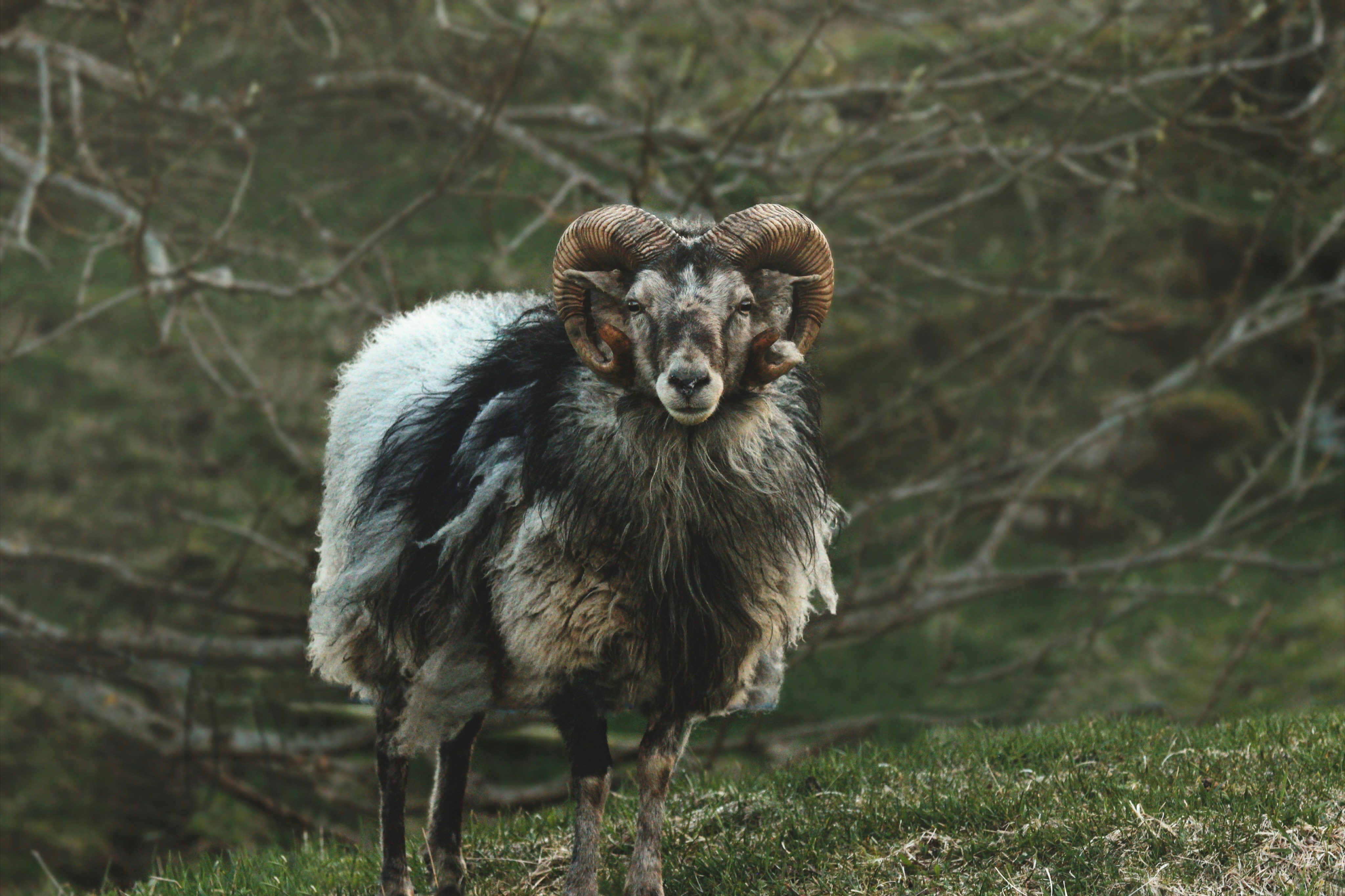 Photo by kristinokarlsen