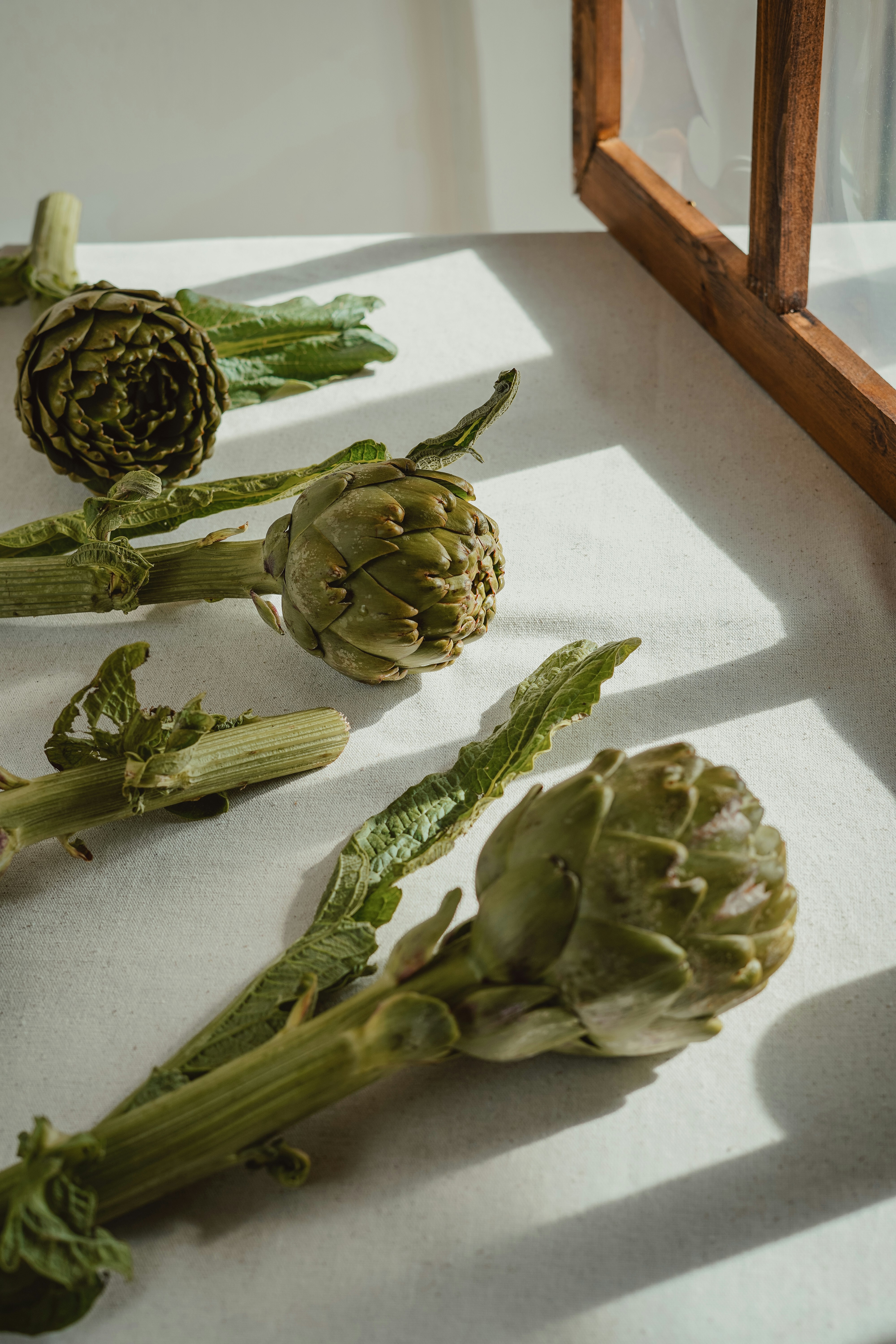 Artischocken sind auf einer weißen Fläche angeordnet.