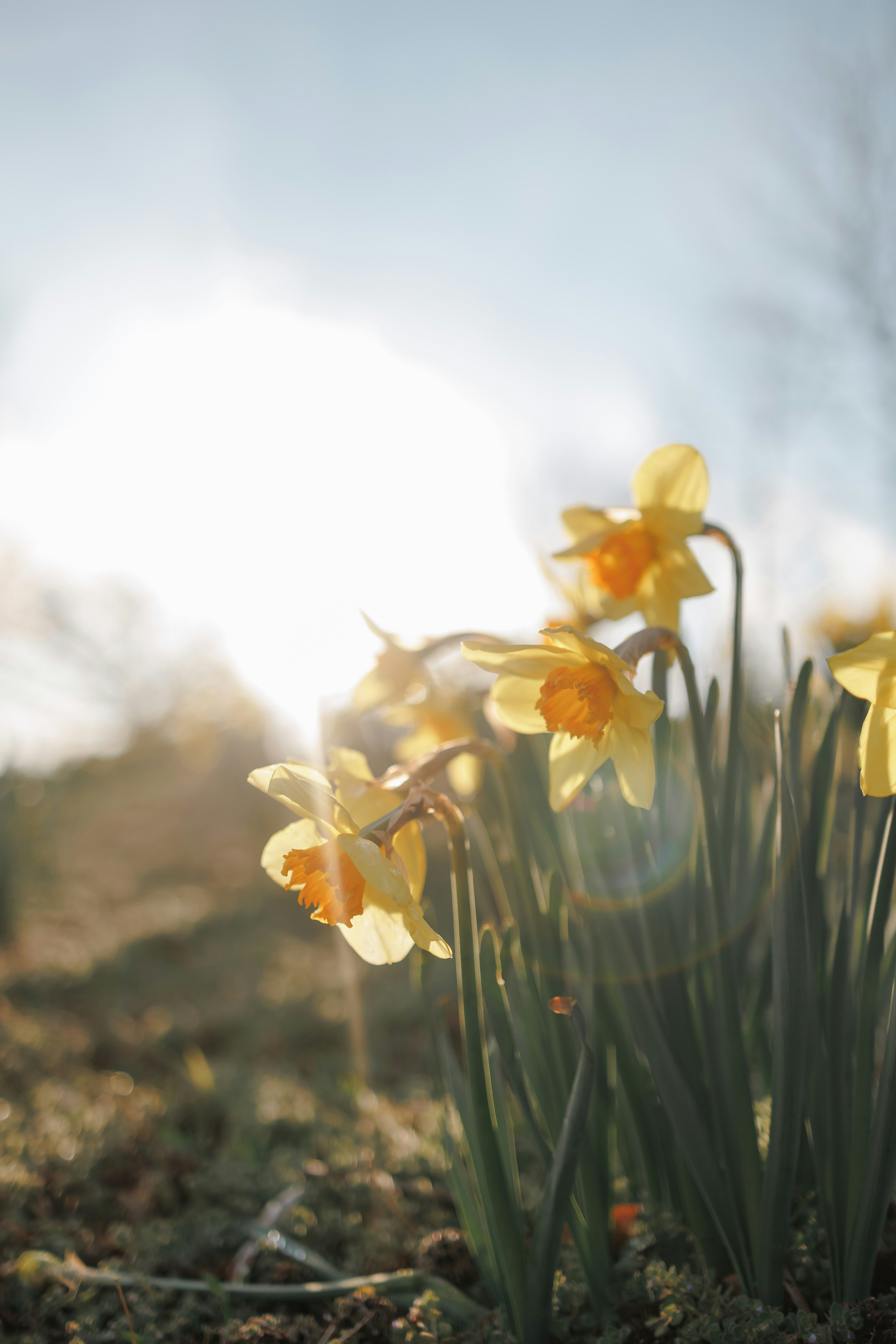 Photo by stills_byliz