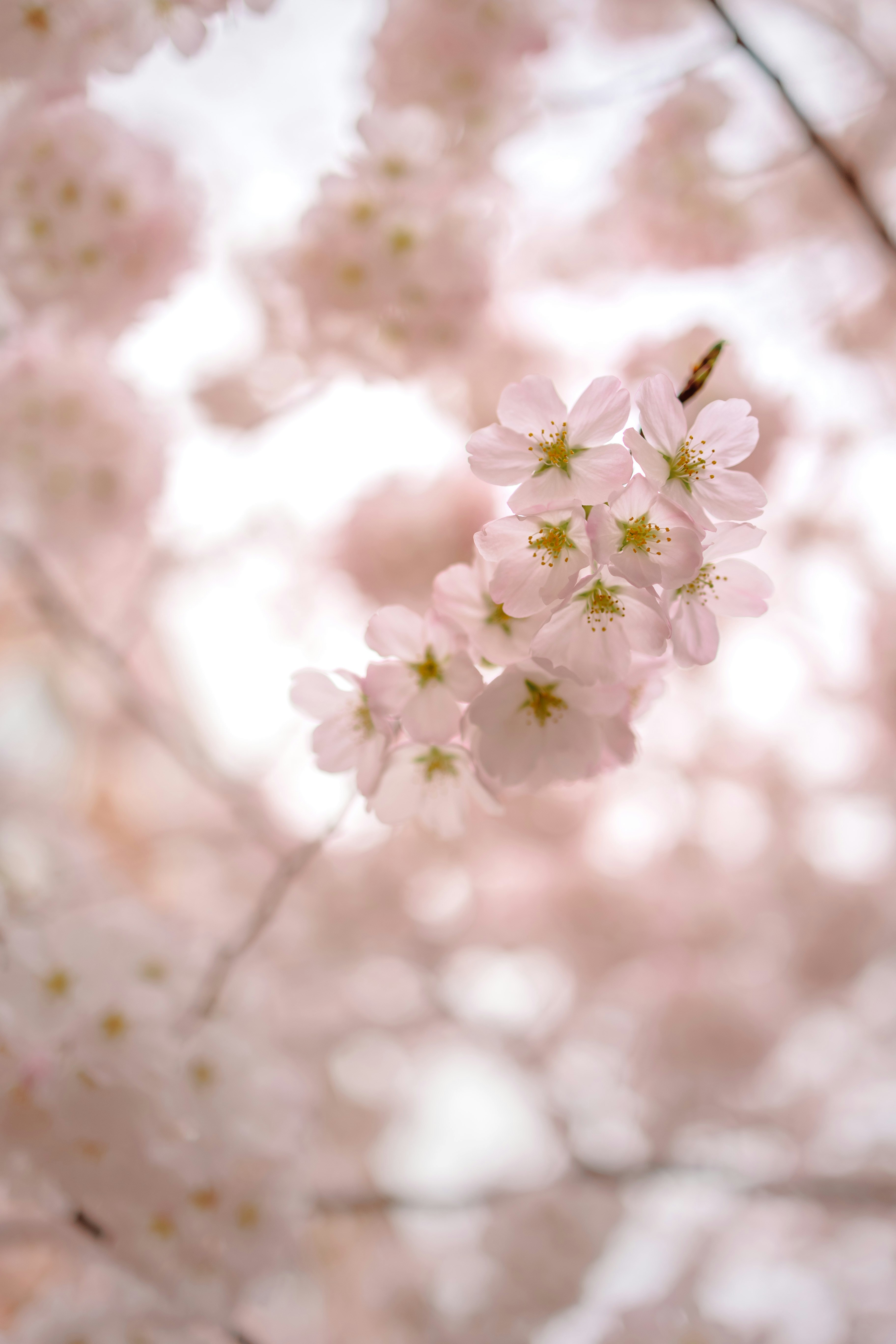 Photo by stills_byliz