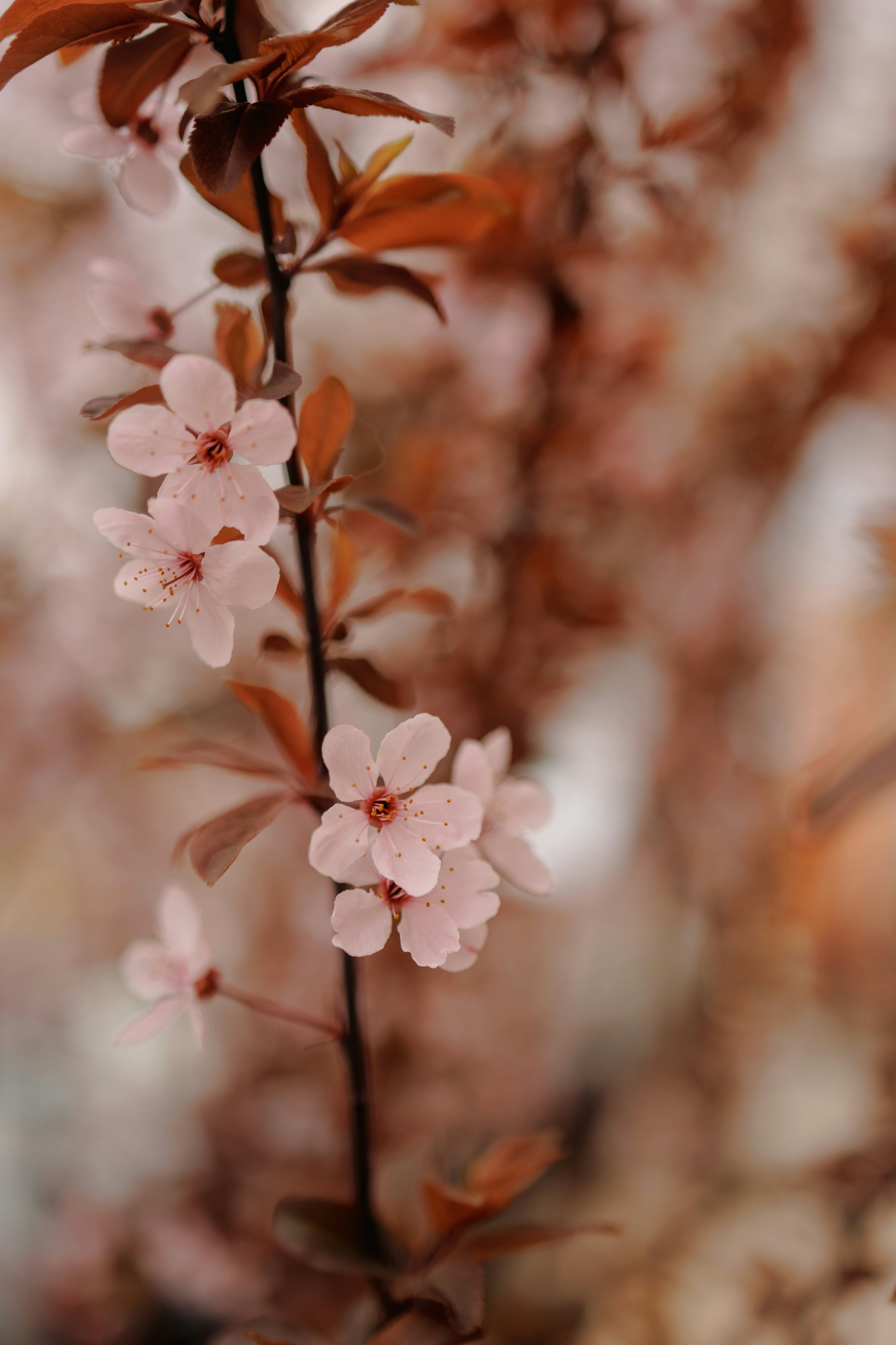 Photo by stills_byliz