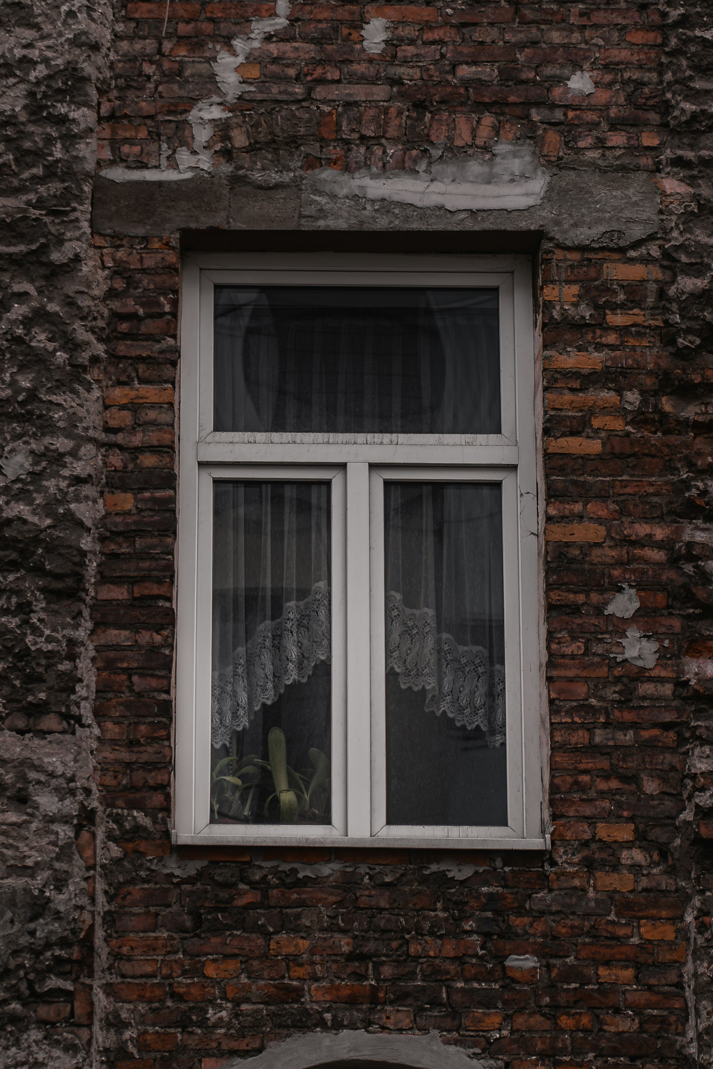 Photo by ahmetyuksek