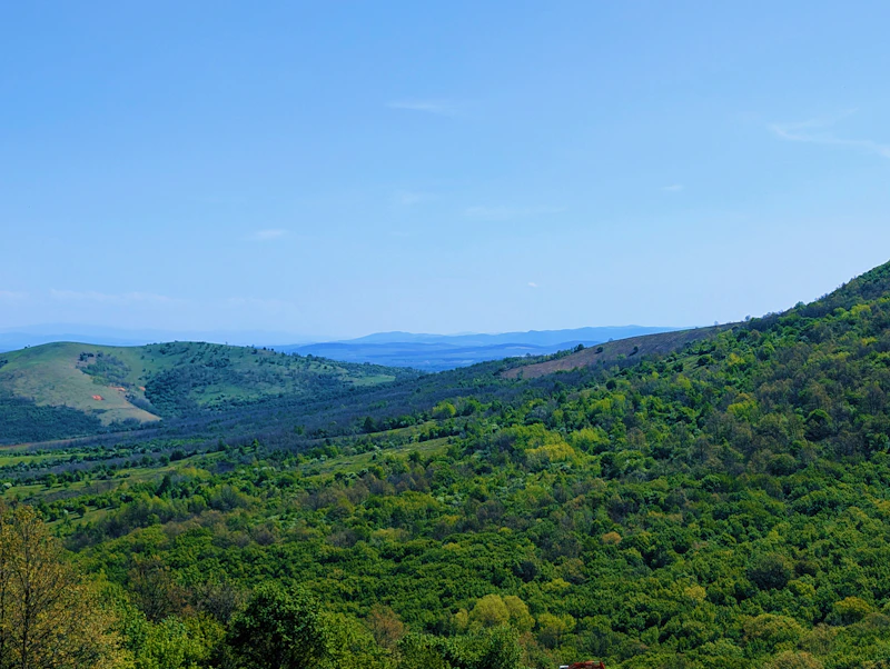 Rolling green mountain land