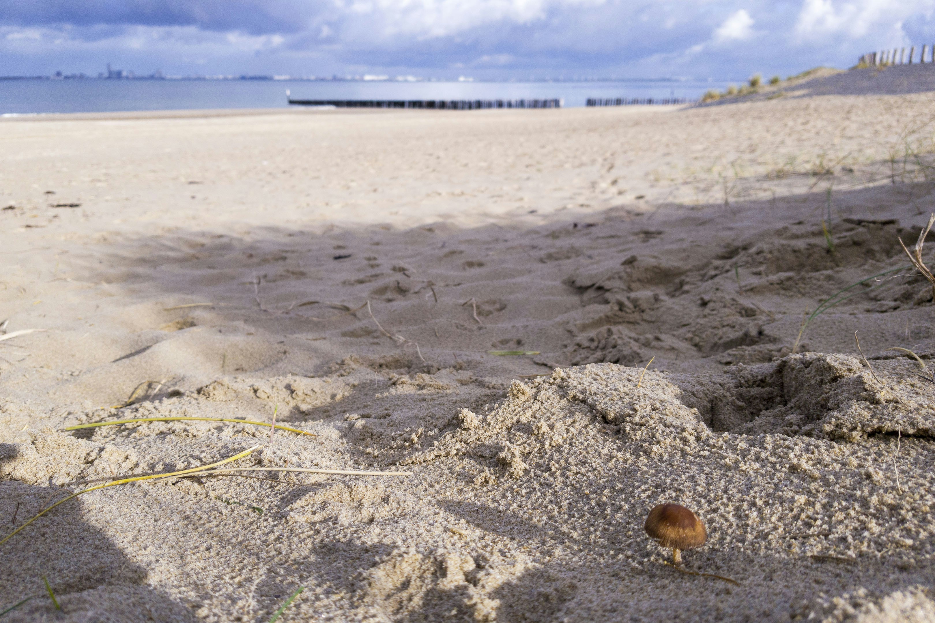 Sandy beach with cloudy sky and distant ocean.
