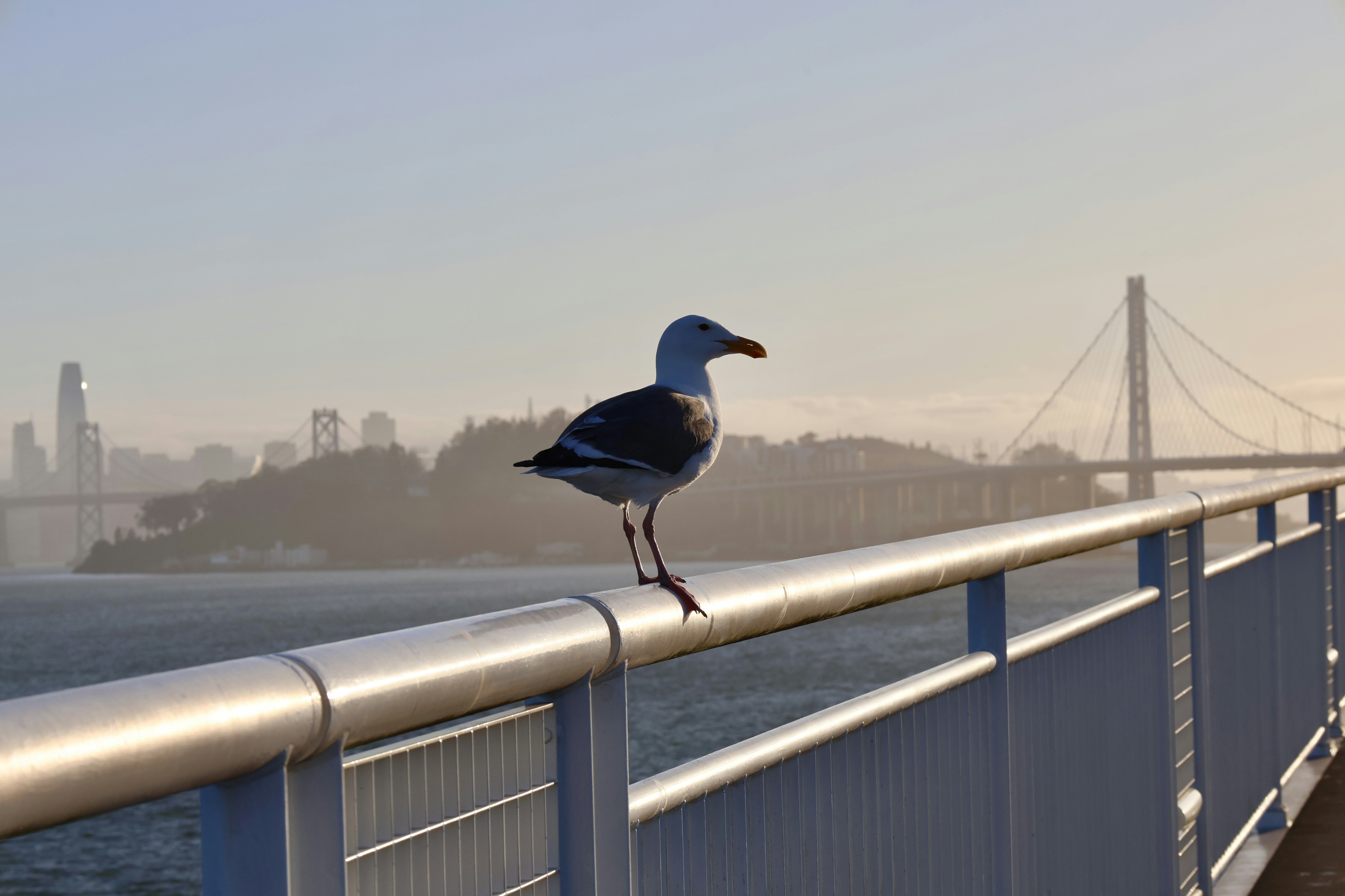 Abby's Home Repair & Remodel team on a job site