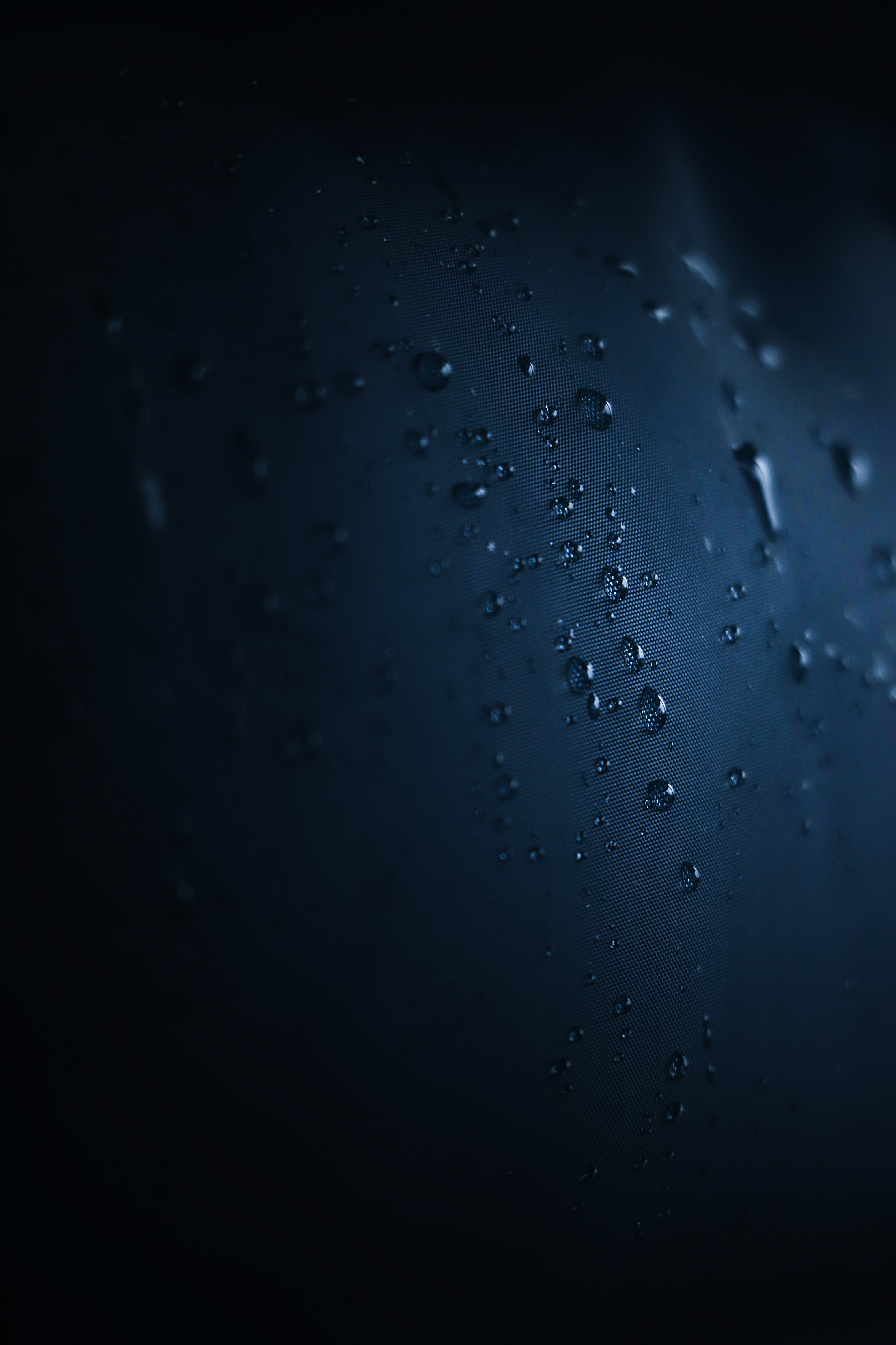 Water droplets appear on a dark, textured surface.