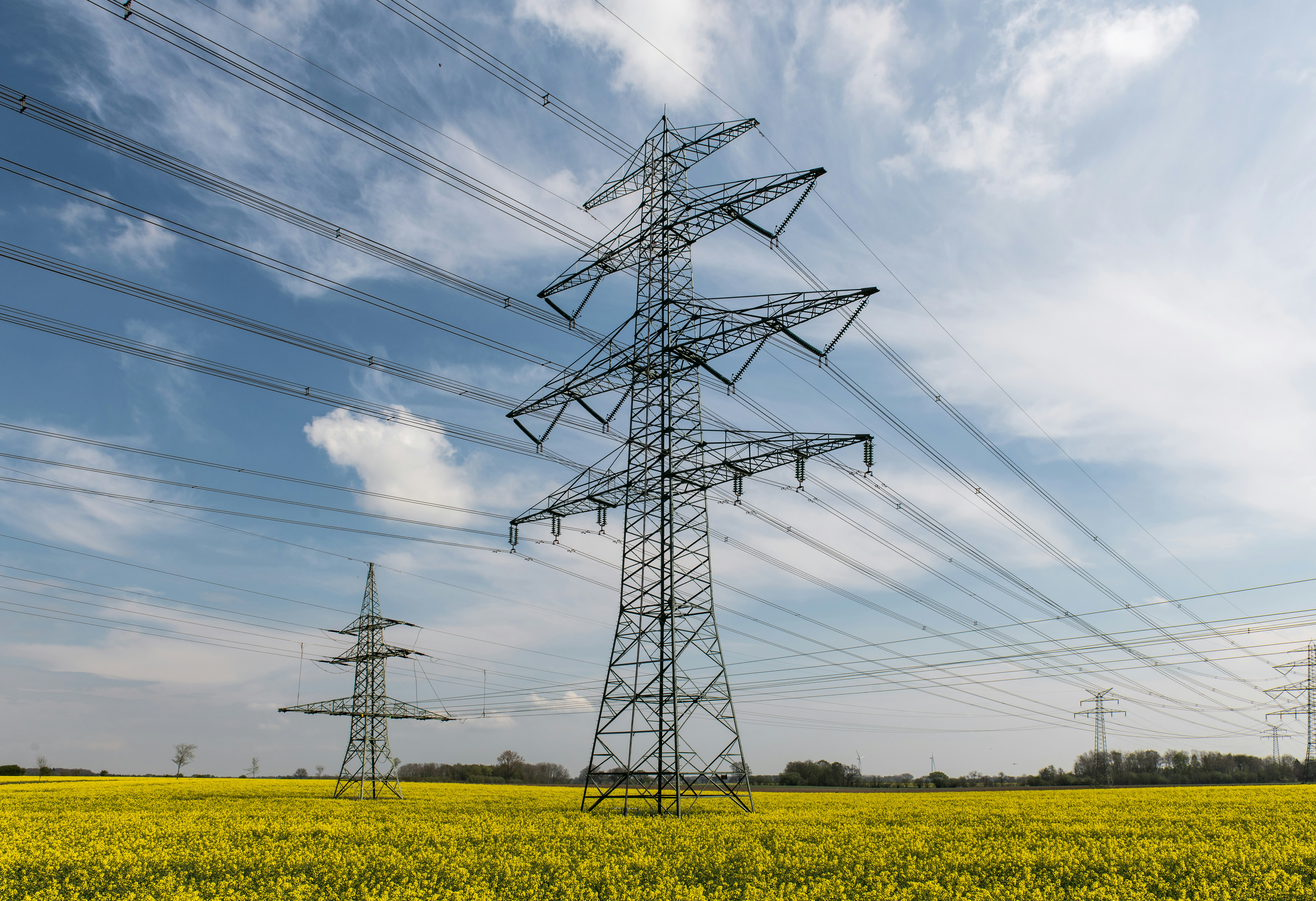 Photo by hamburgmeinefreundin