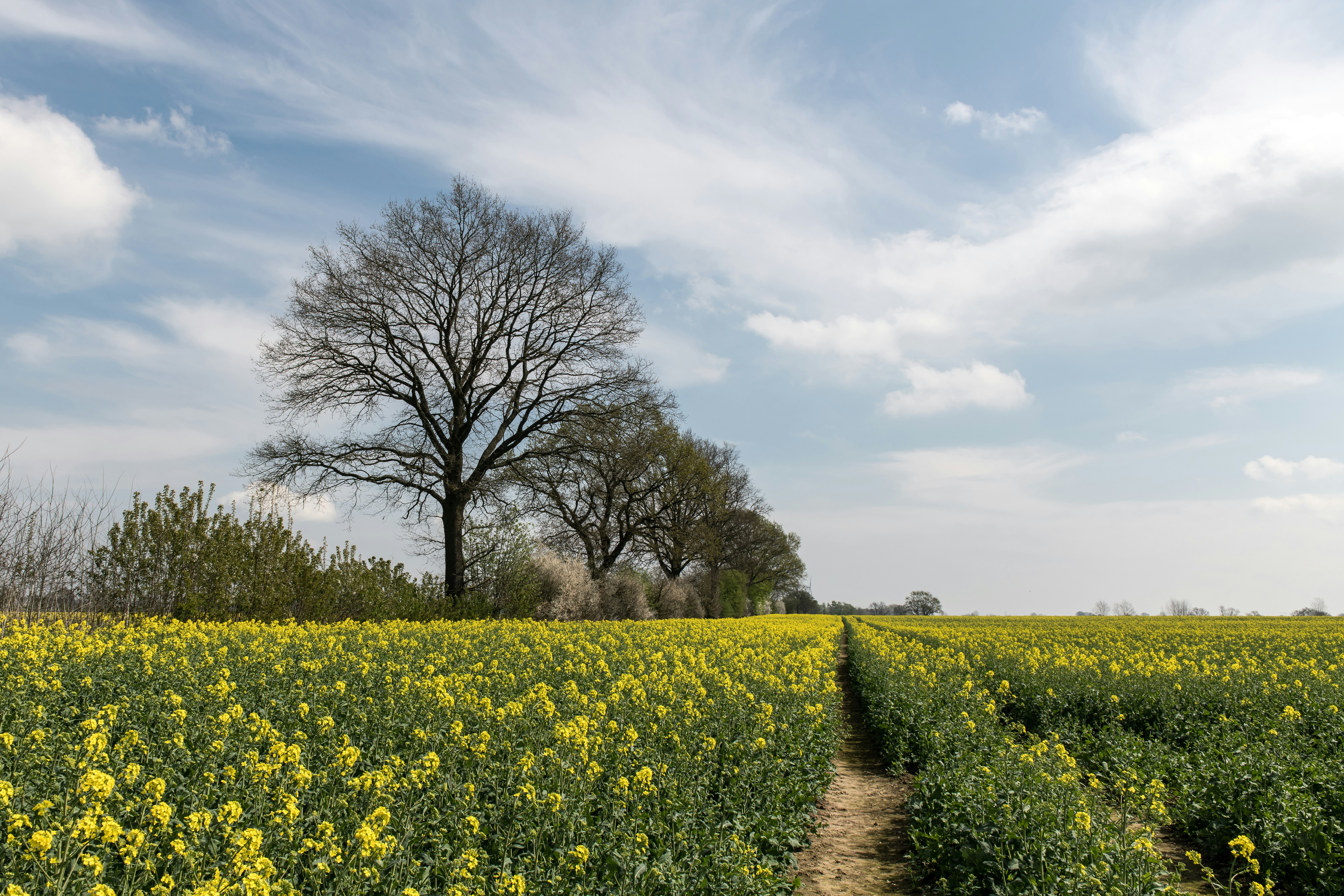 Photo by hamburgmeinefreundin