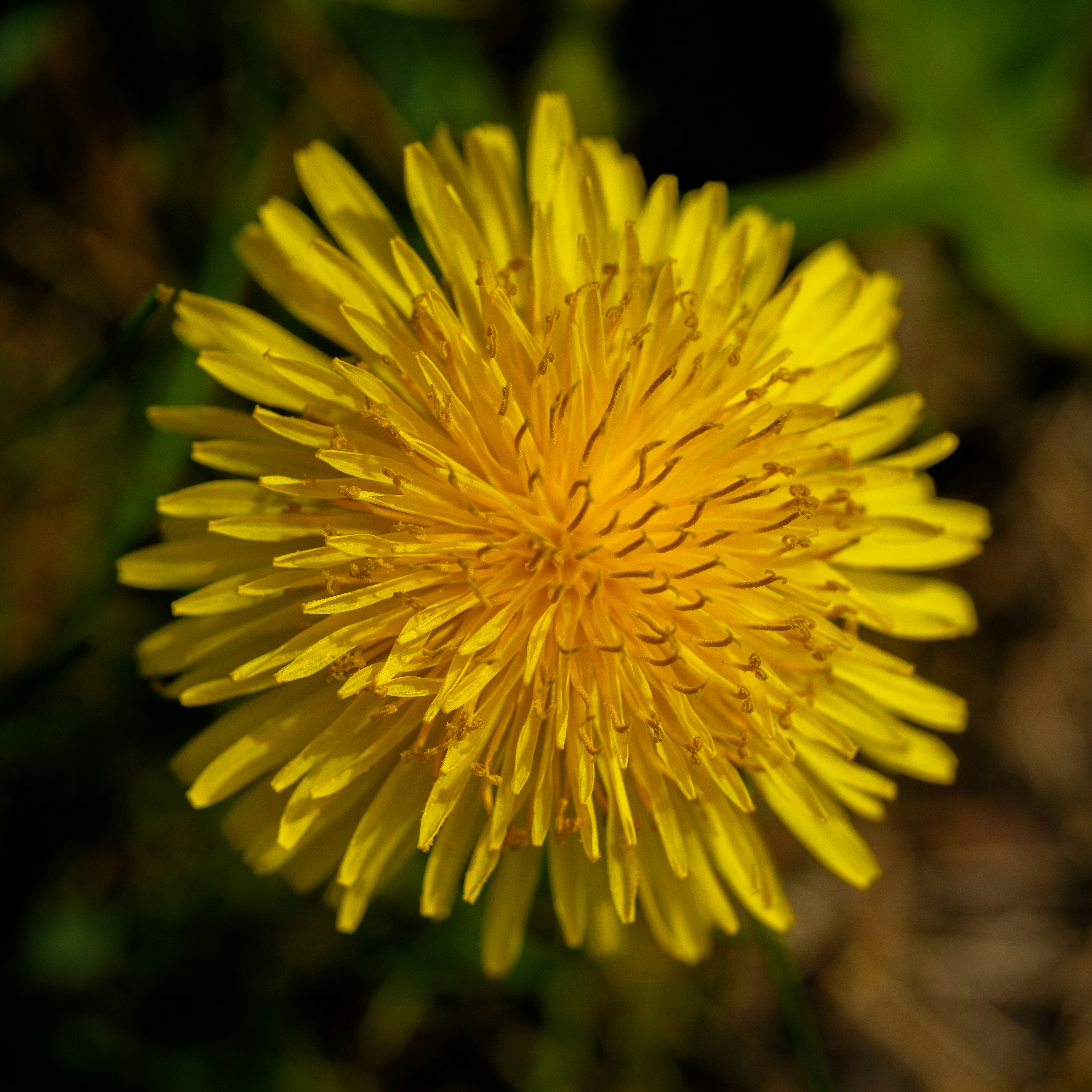 Photo by haberdoedas