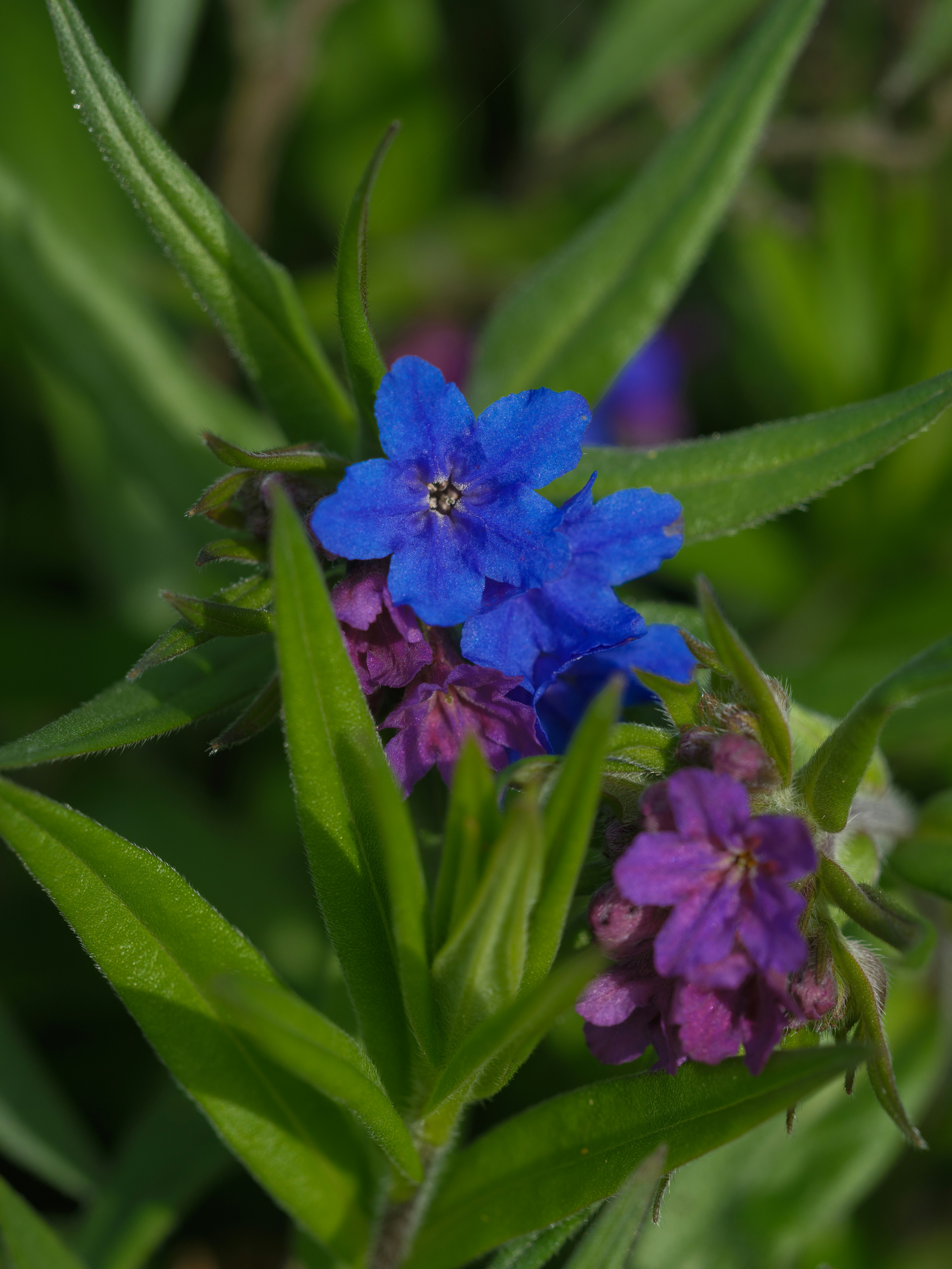 Photo by haberdoedas