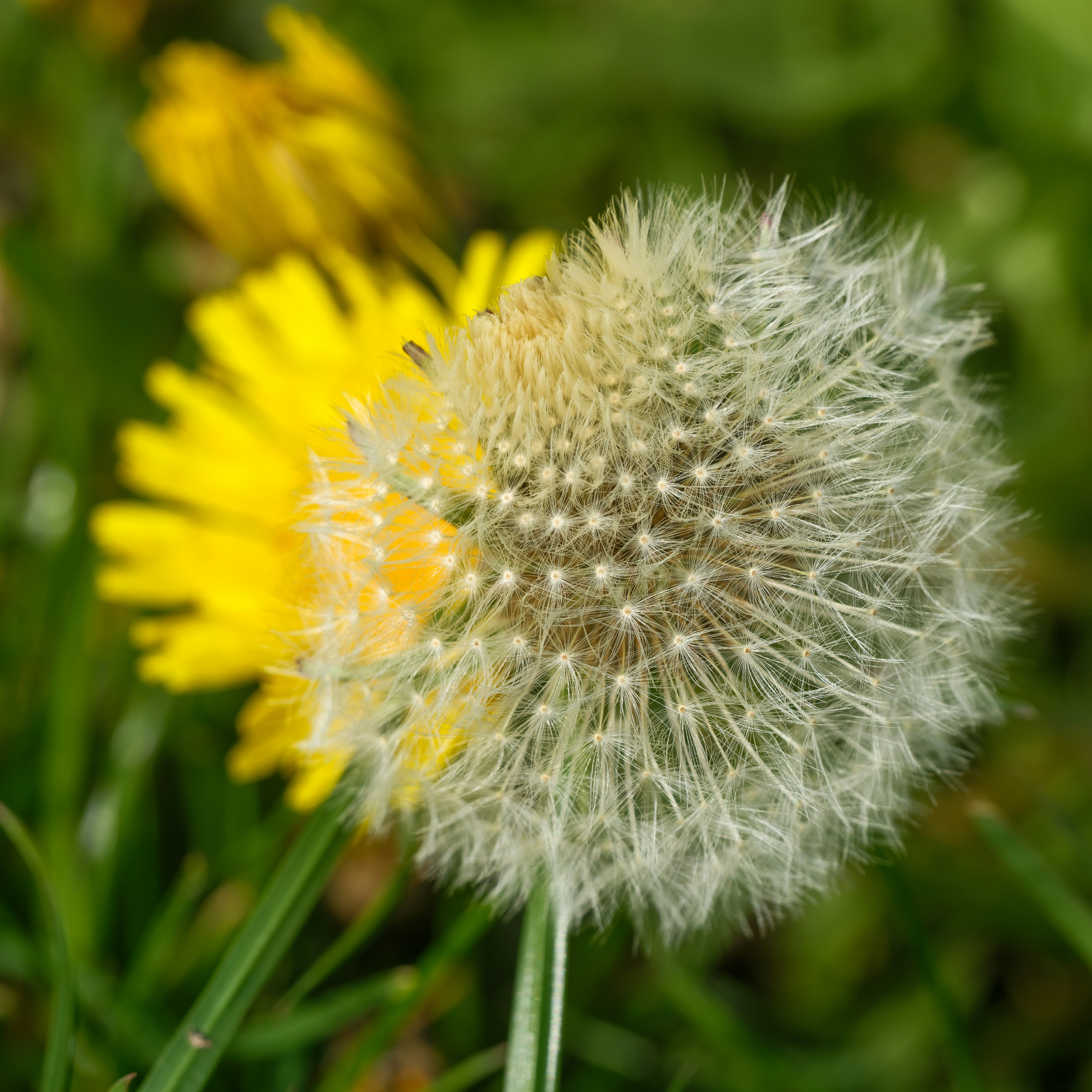 Photo by haberdoedas