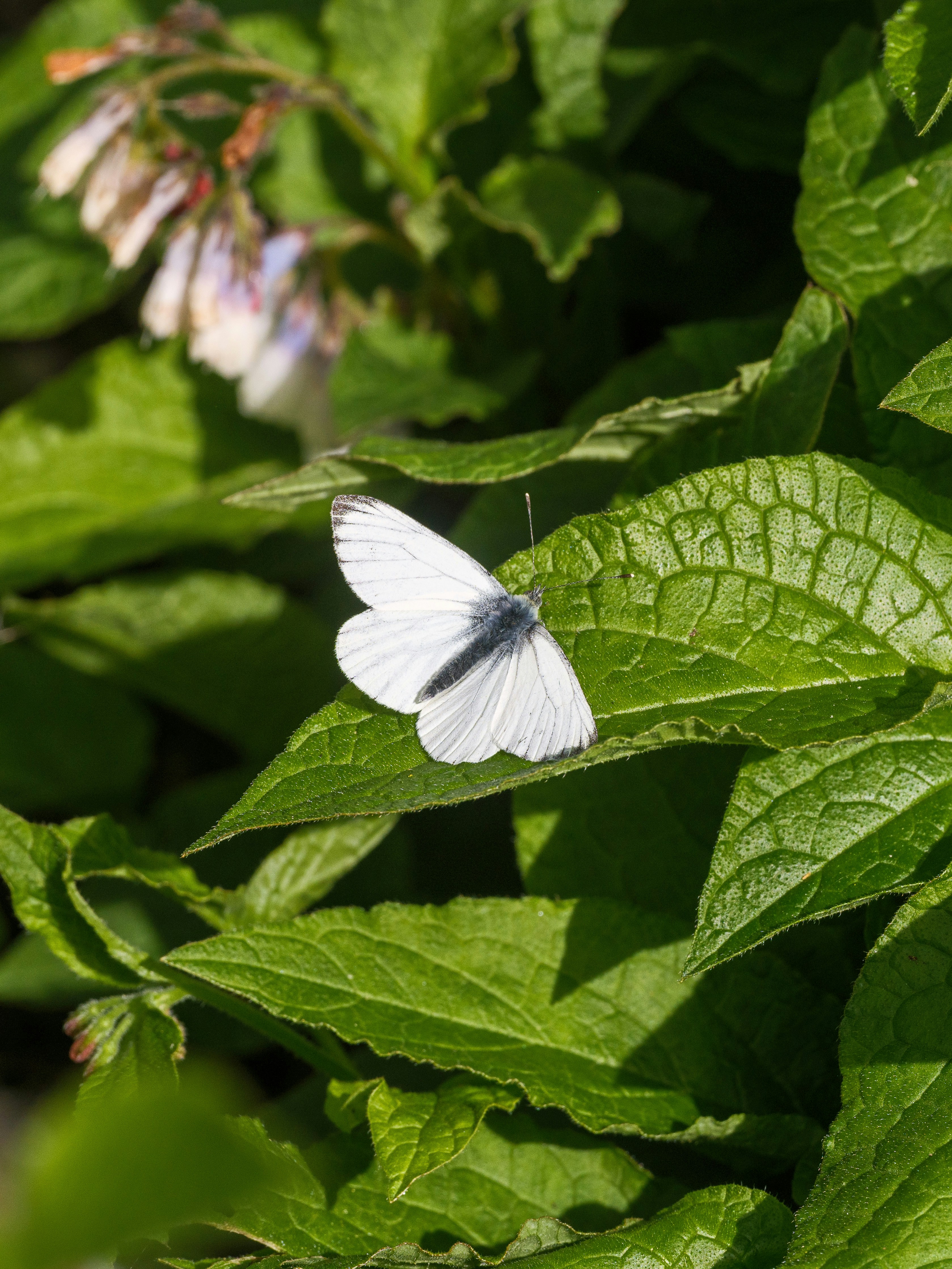 Photo by haberdoedas