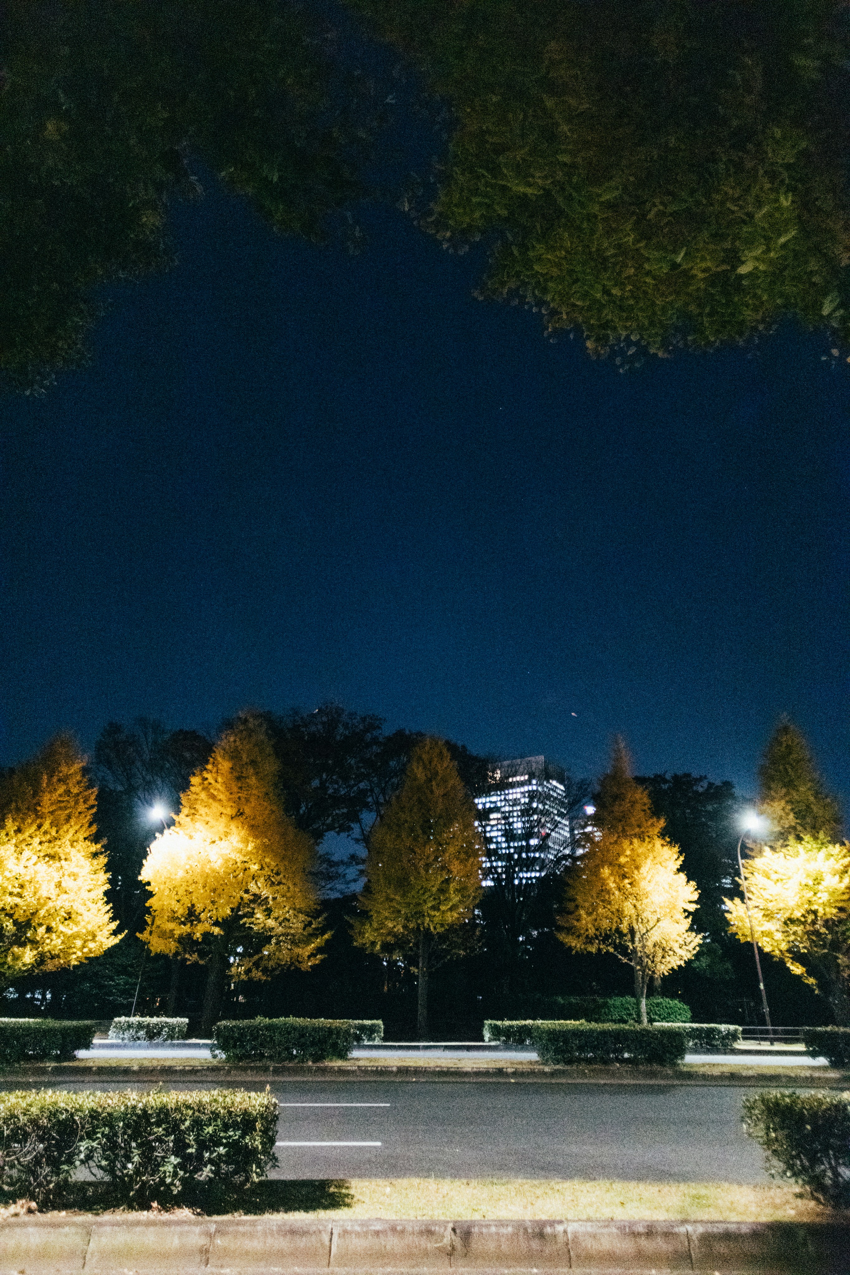 Photo by tsuyoshikozu