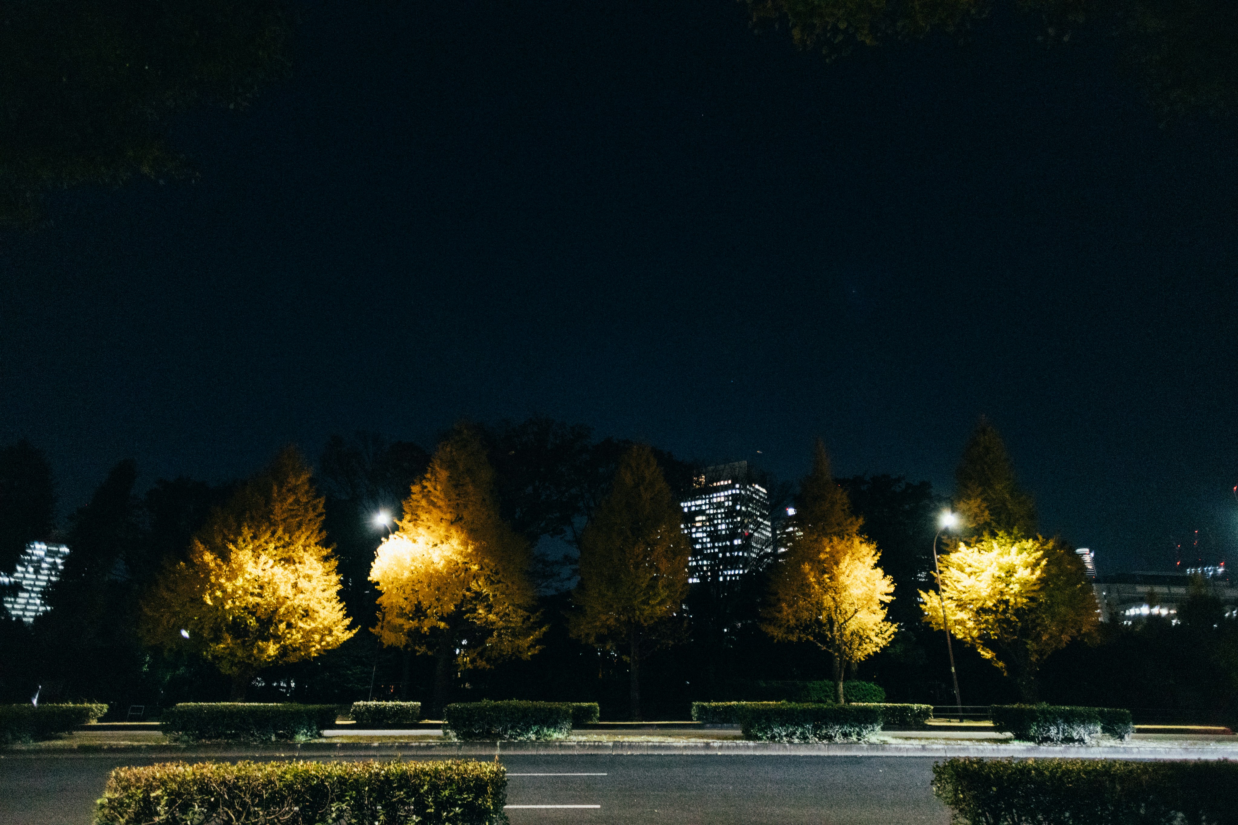 Photo by tsuyoshikozu