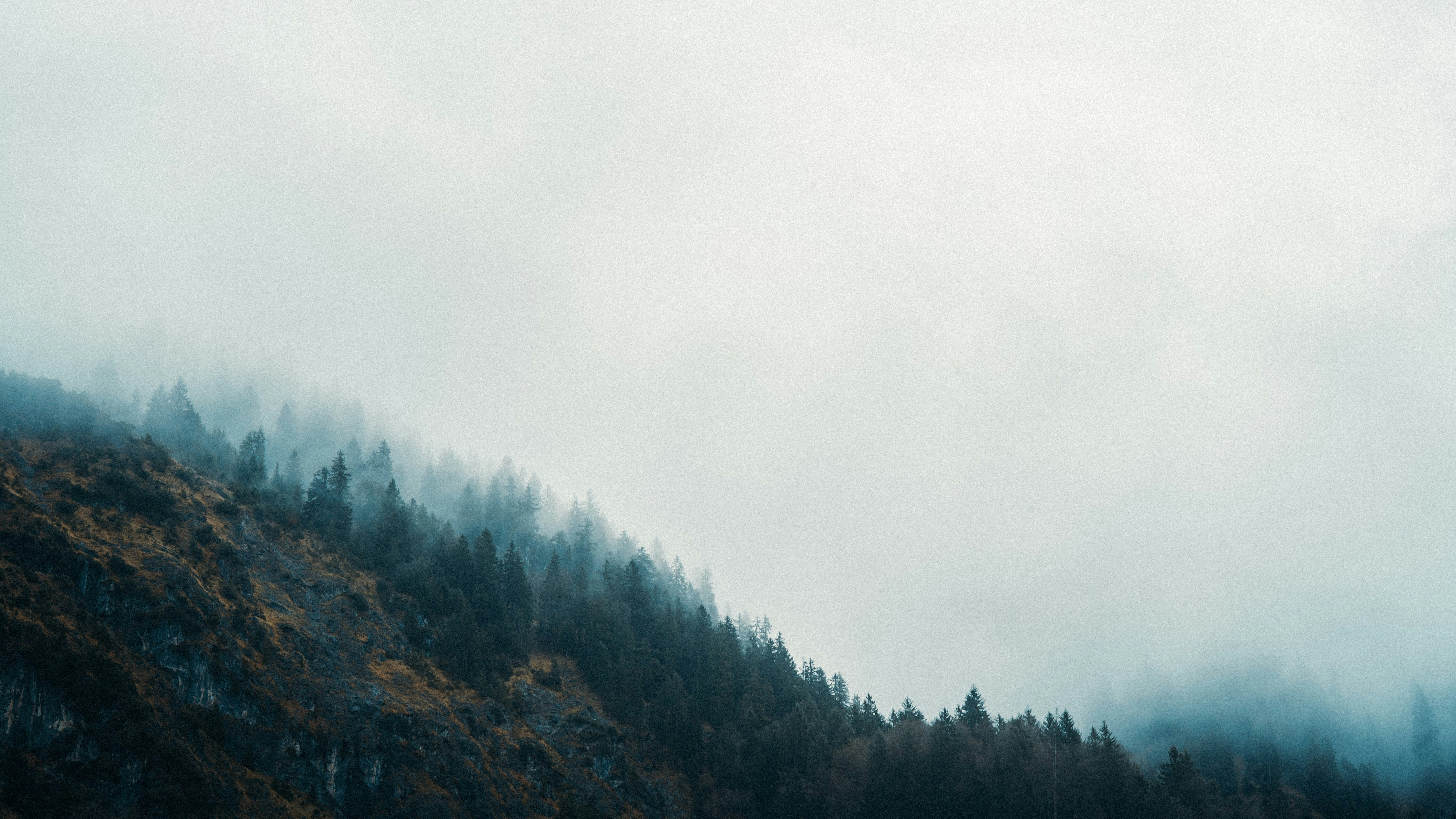 Photo by emillembeck