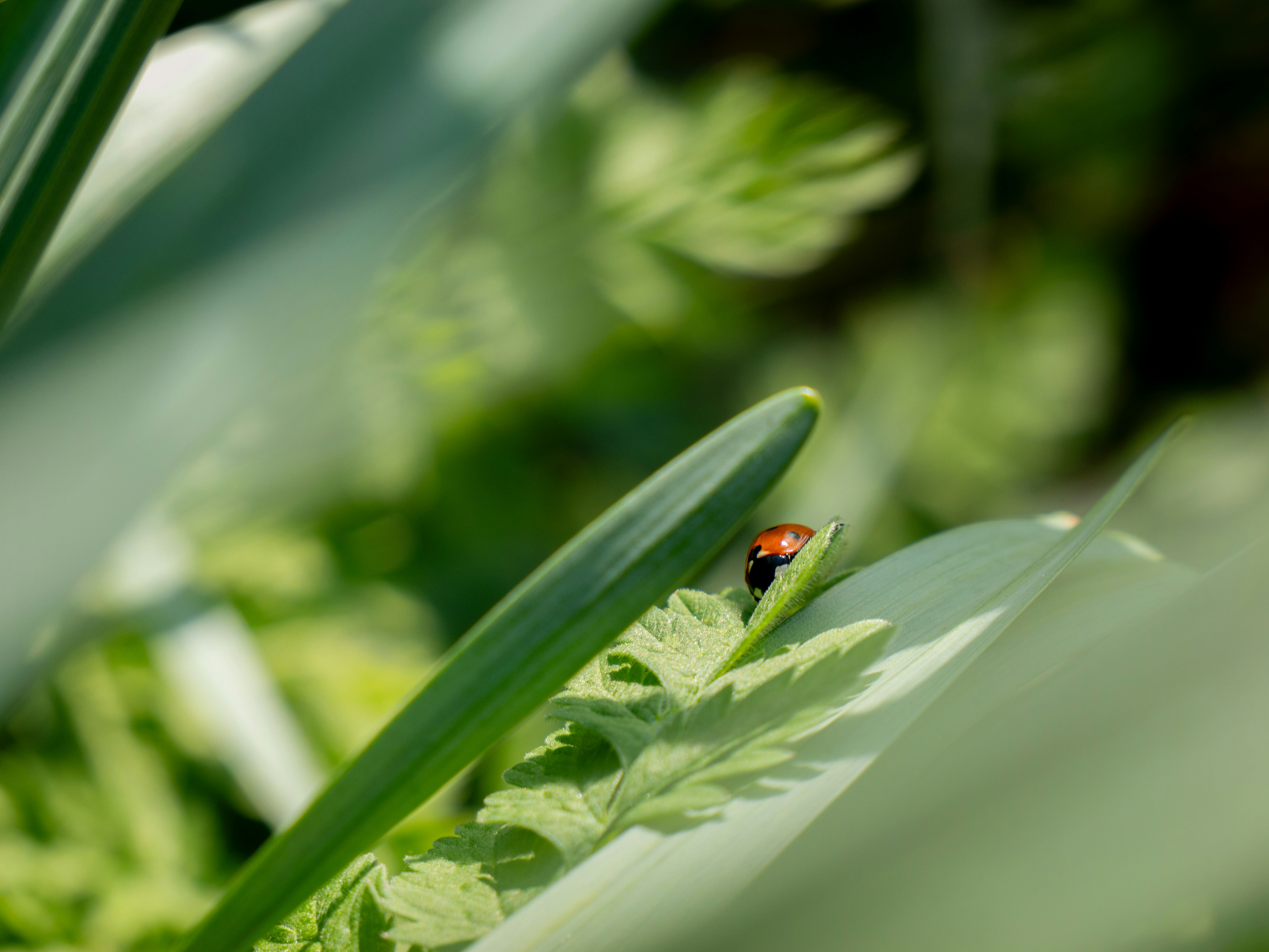 Photo by keal_the_camera_guy1