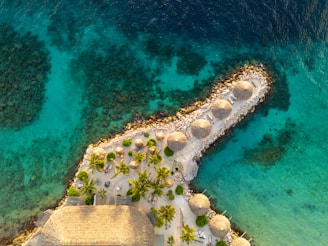 Karnevalsfeier mit bunten Kostümen auf Curacao