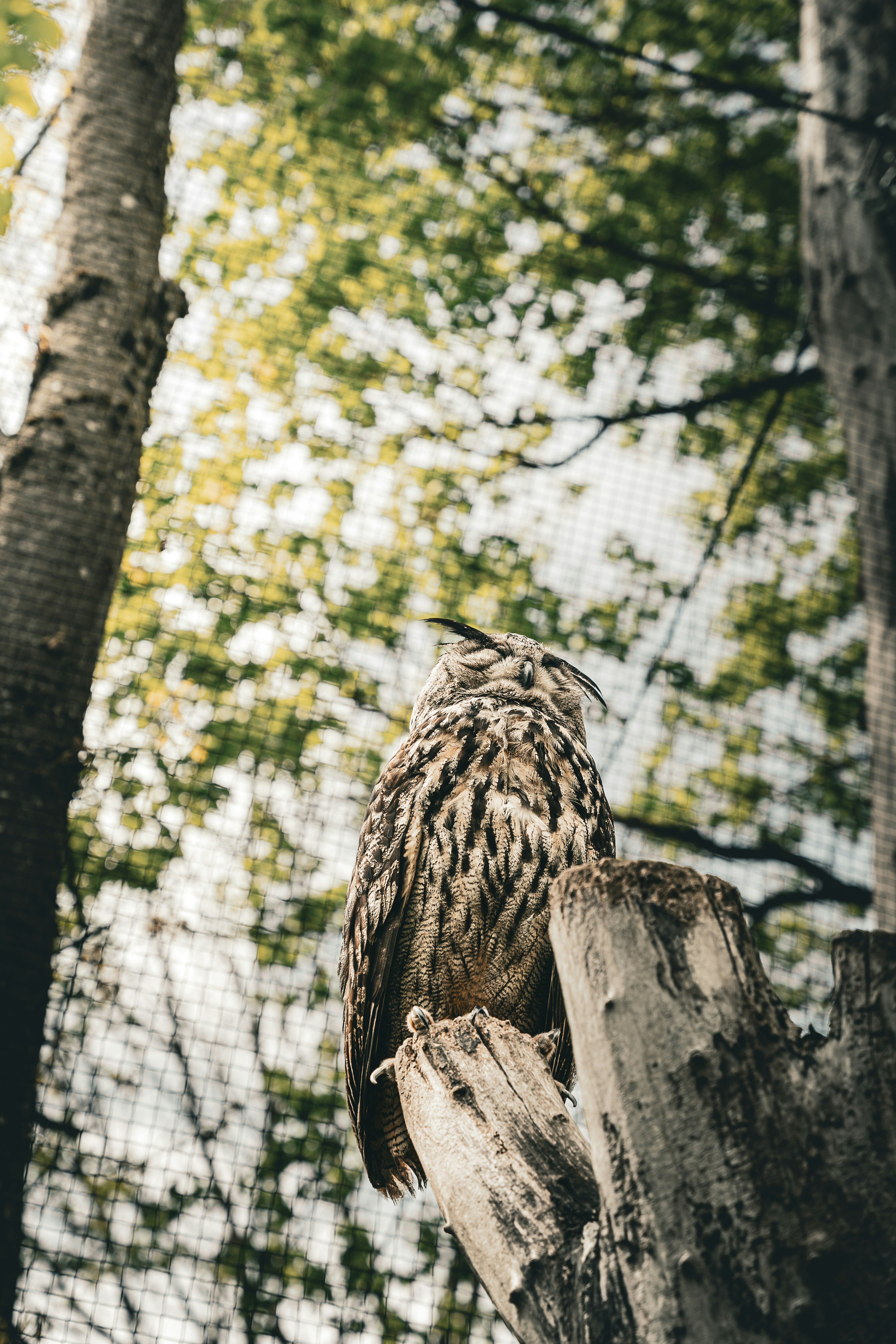 Photo by printlinebyflo