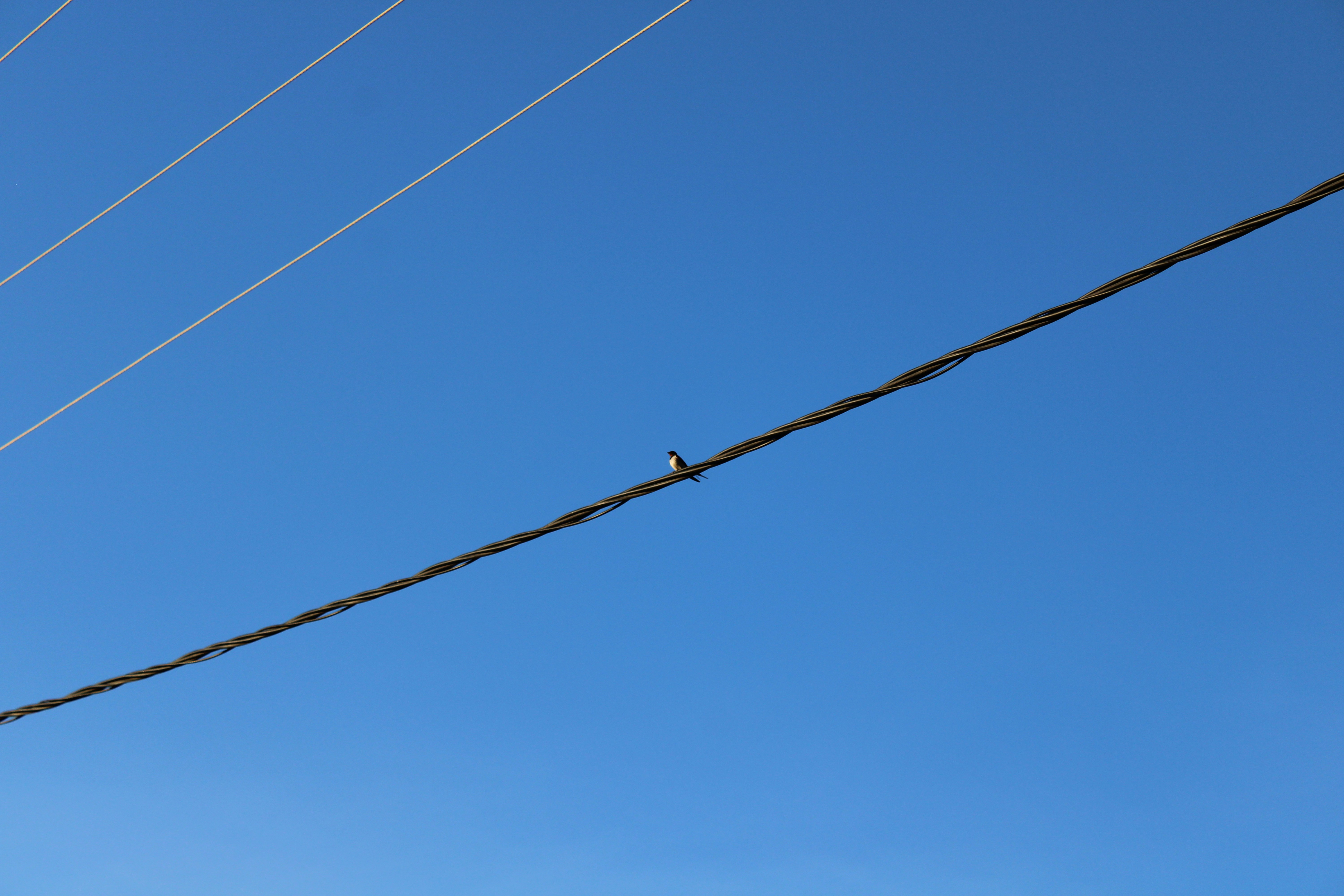 Photo by holymayrytaylor