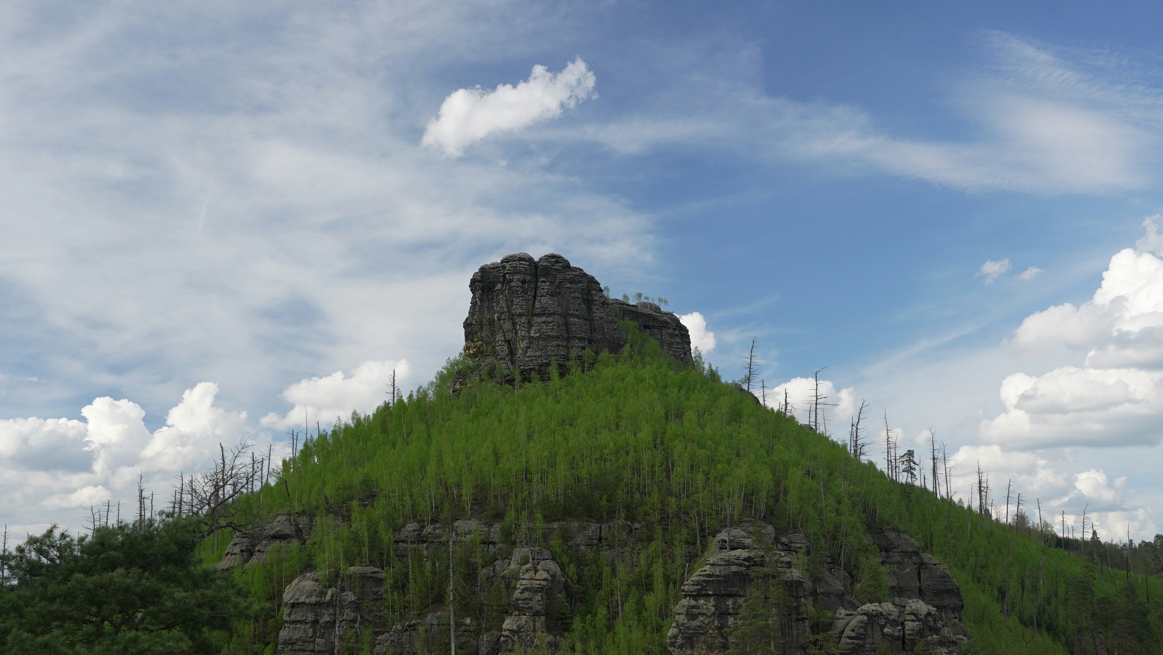 A hill is covered in greenery under a blue sky.
