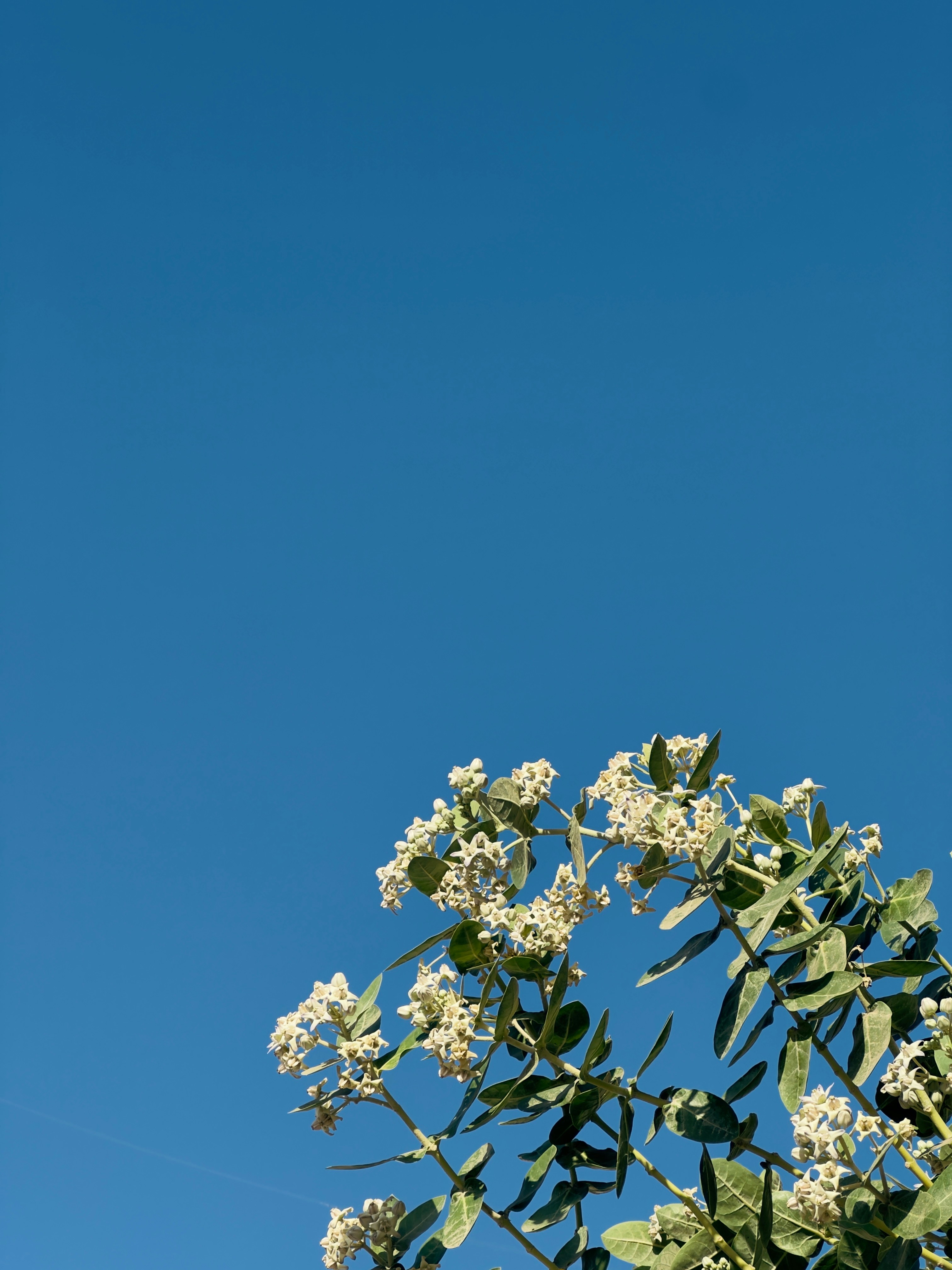 Photo by allensamthomas