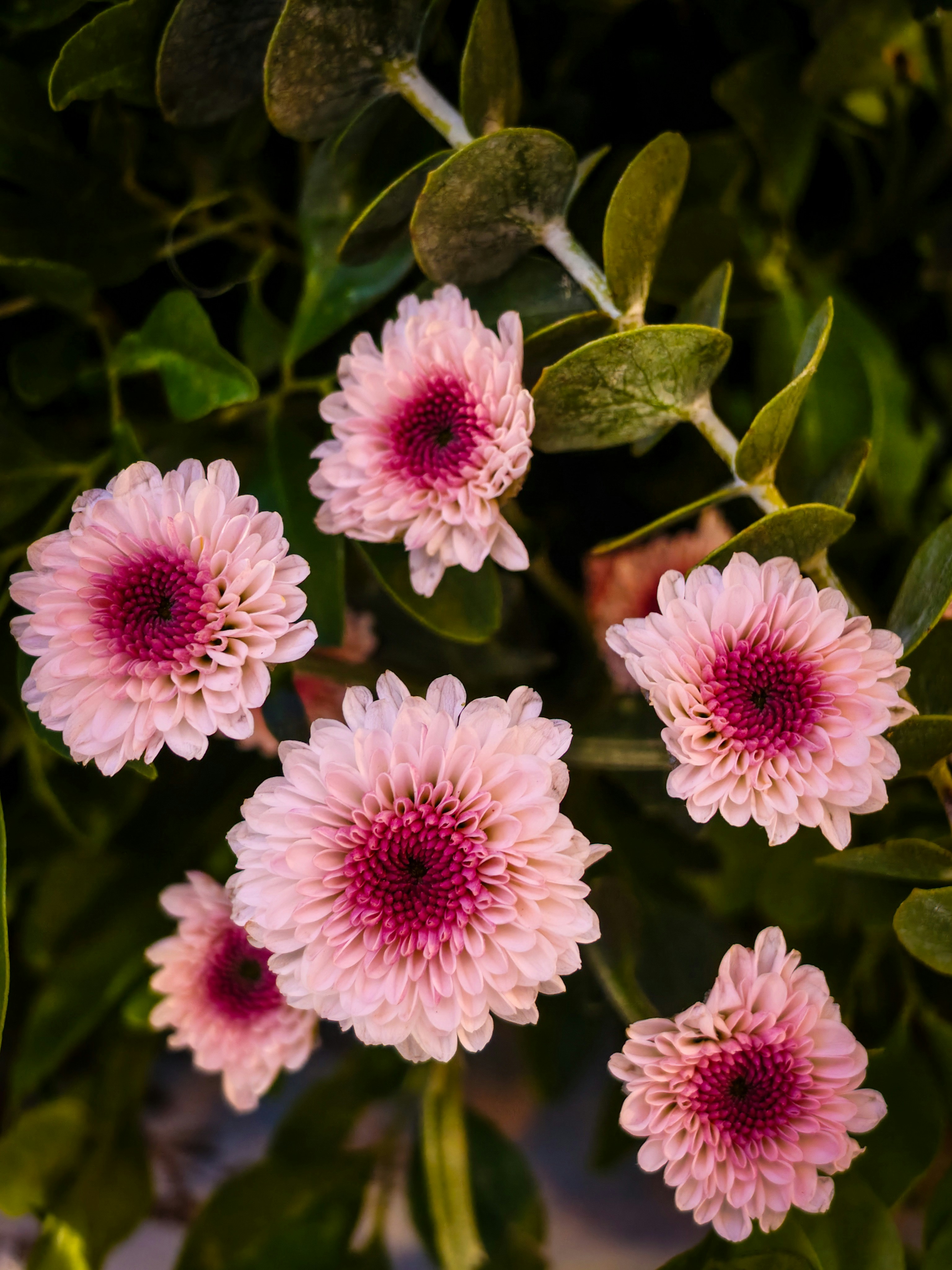 Photo by emmanual_jose