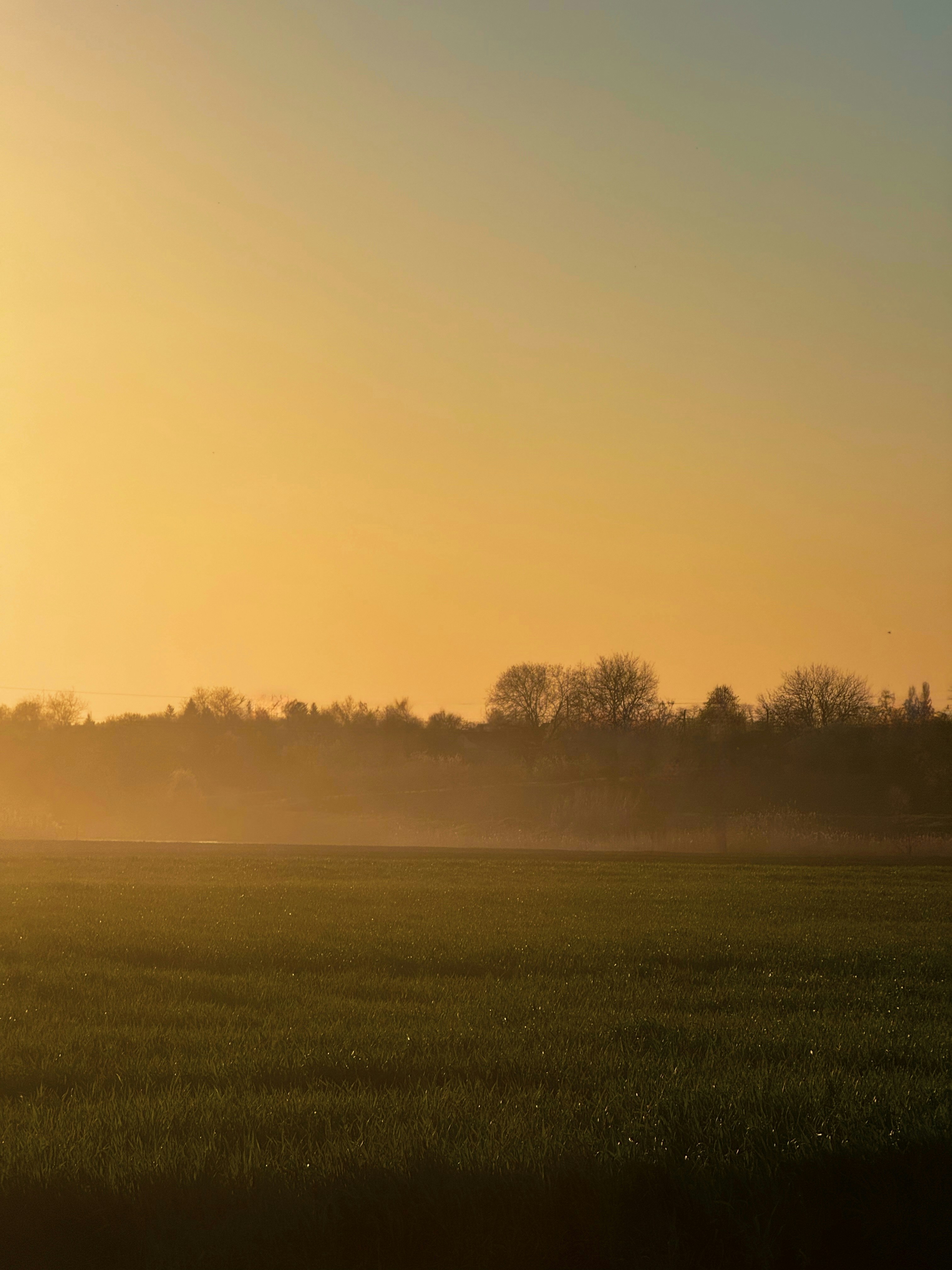 Photo by arthur_oleynik