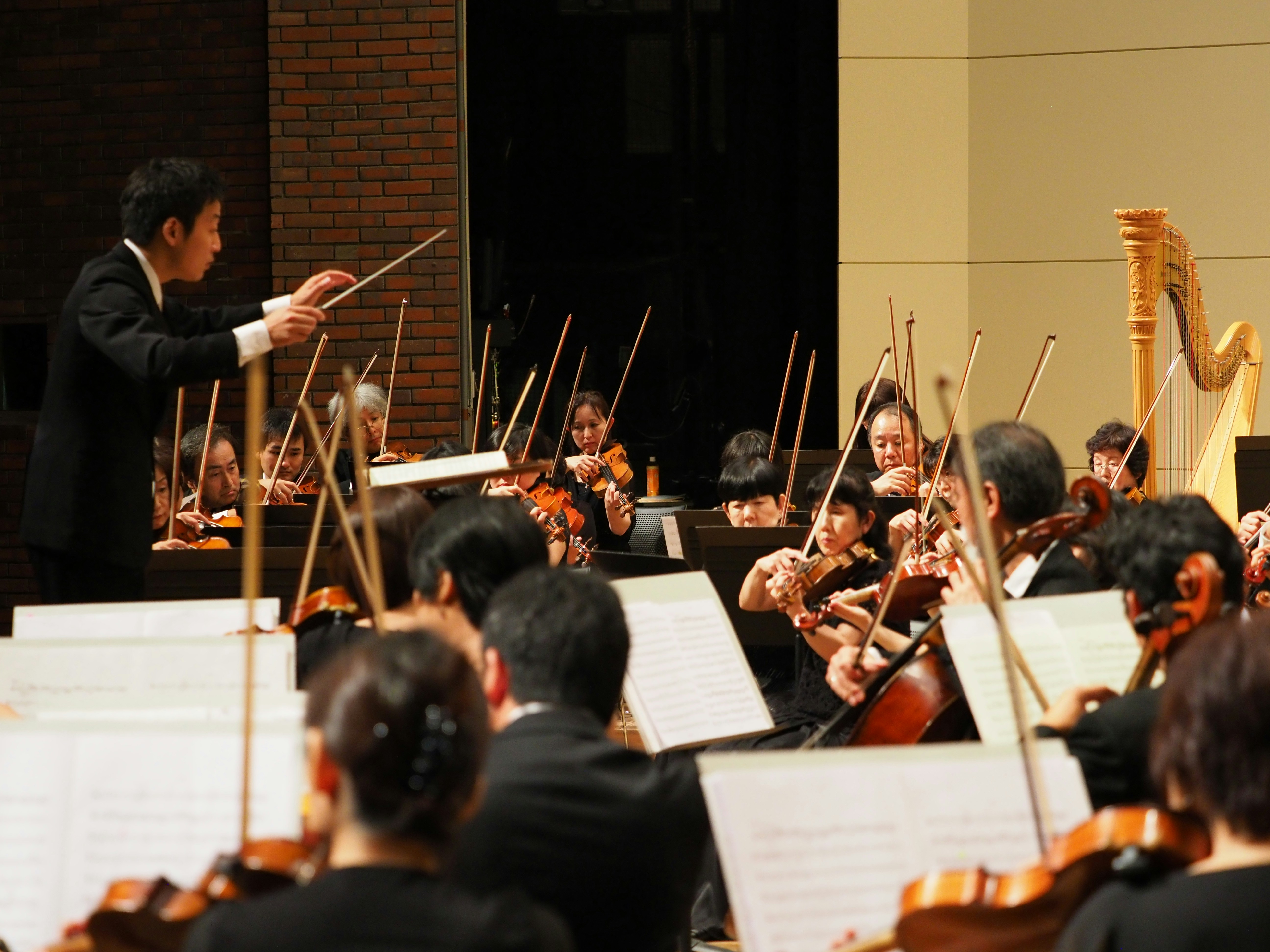 A conductor passionately leading an orchestra, with musicians in the foreground focused on their instruments - orchestra