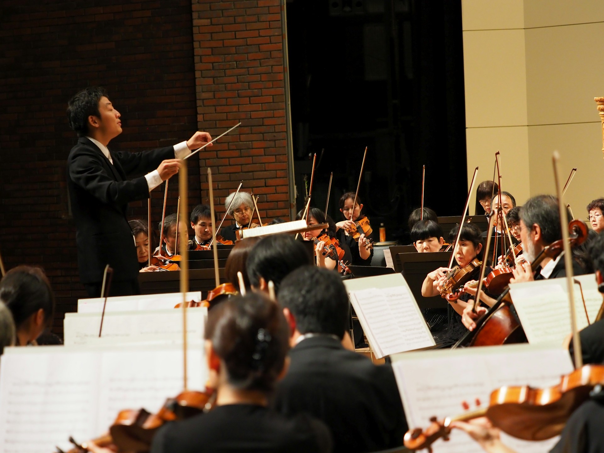 An orchestra is performing with a conductor.