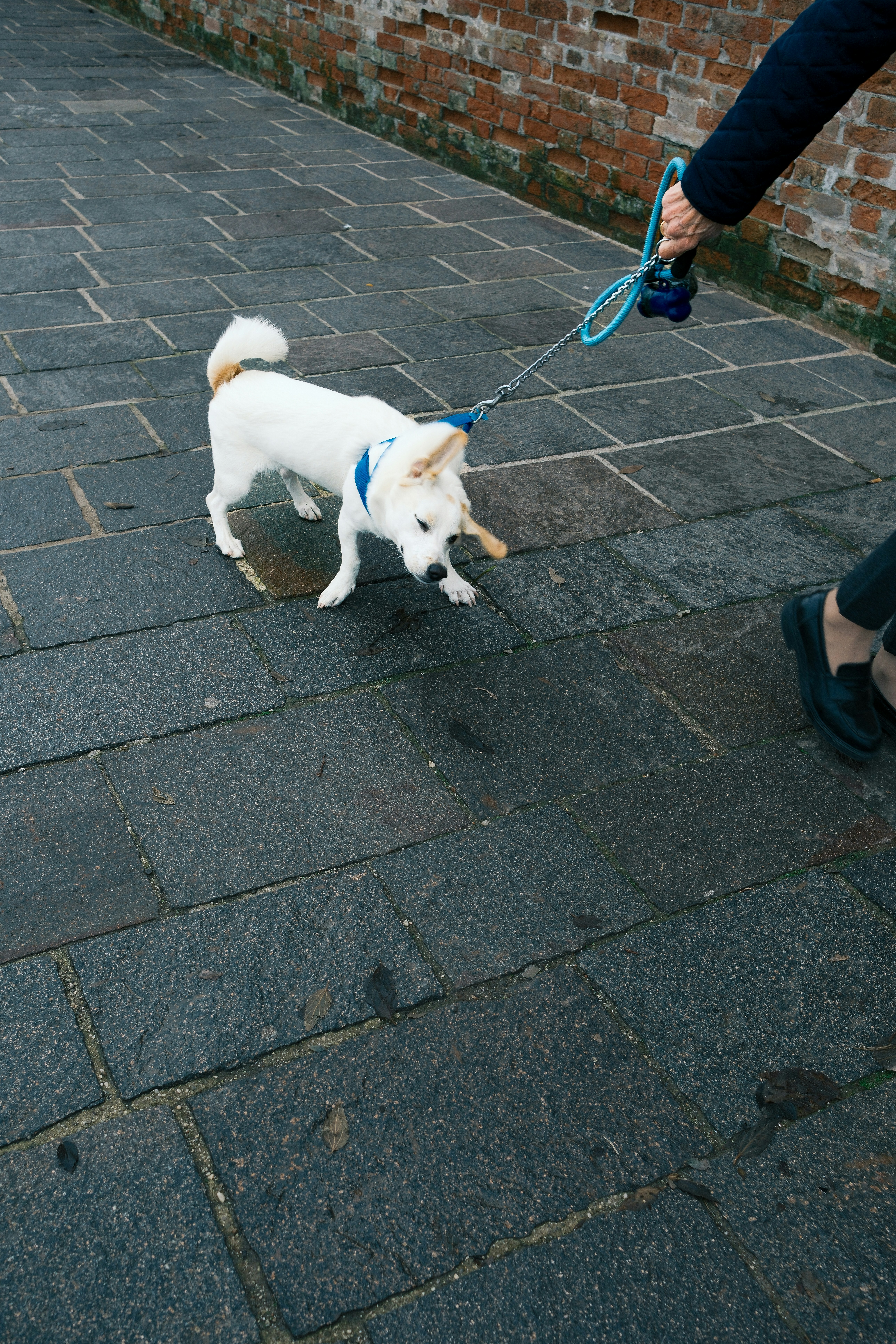 Photo by justalifein