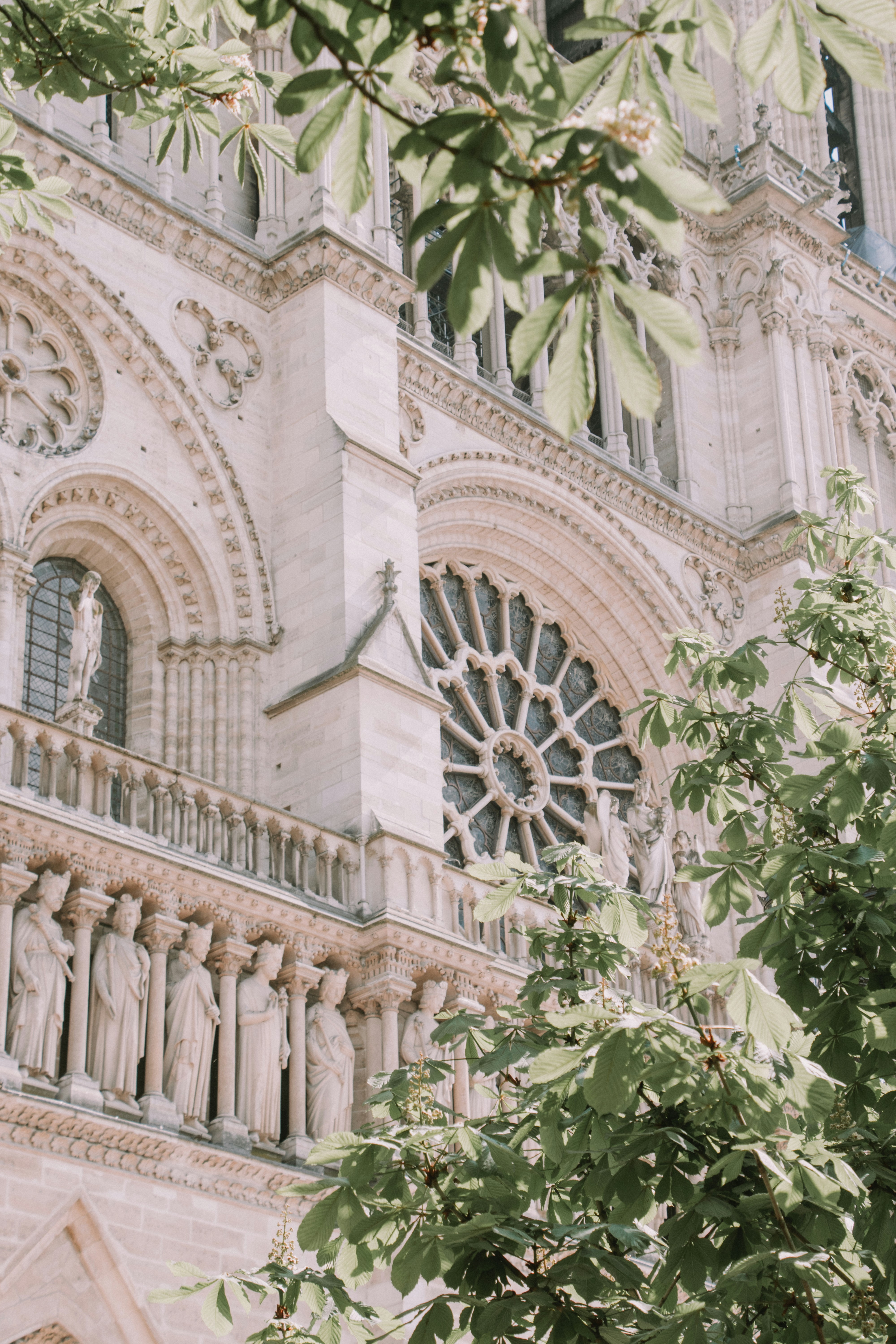 Photo by alexandru_ionescu_m