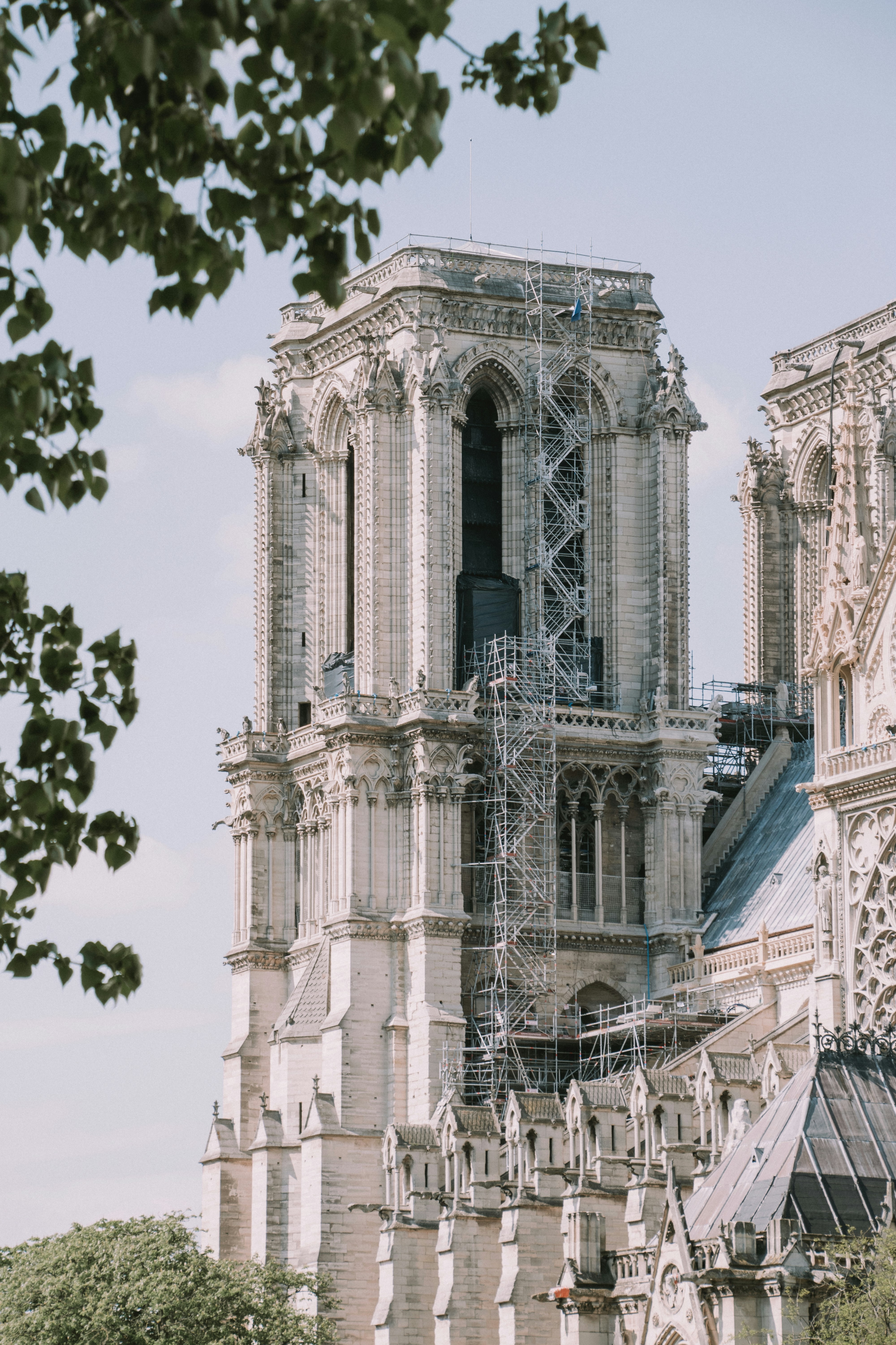 Photo by alexandru_ionescu_m