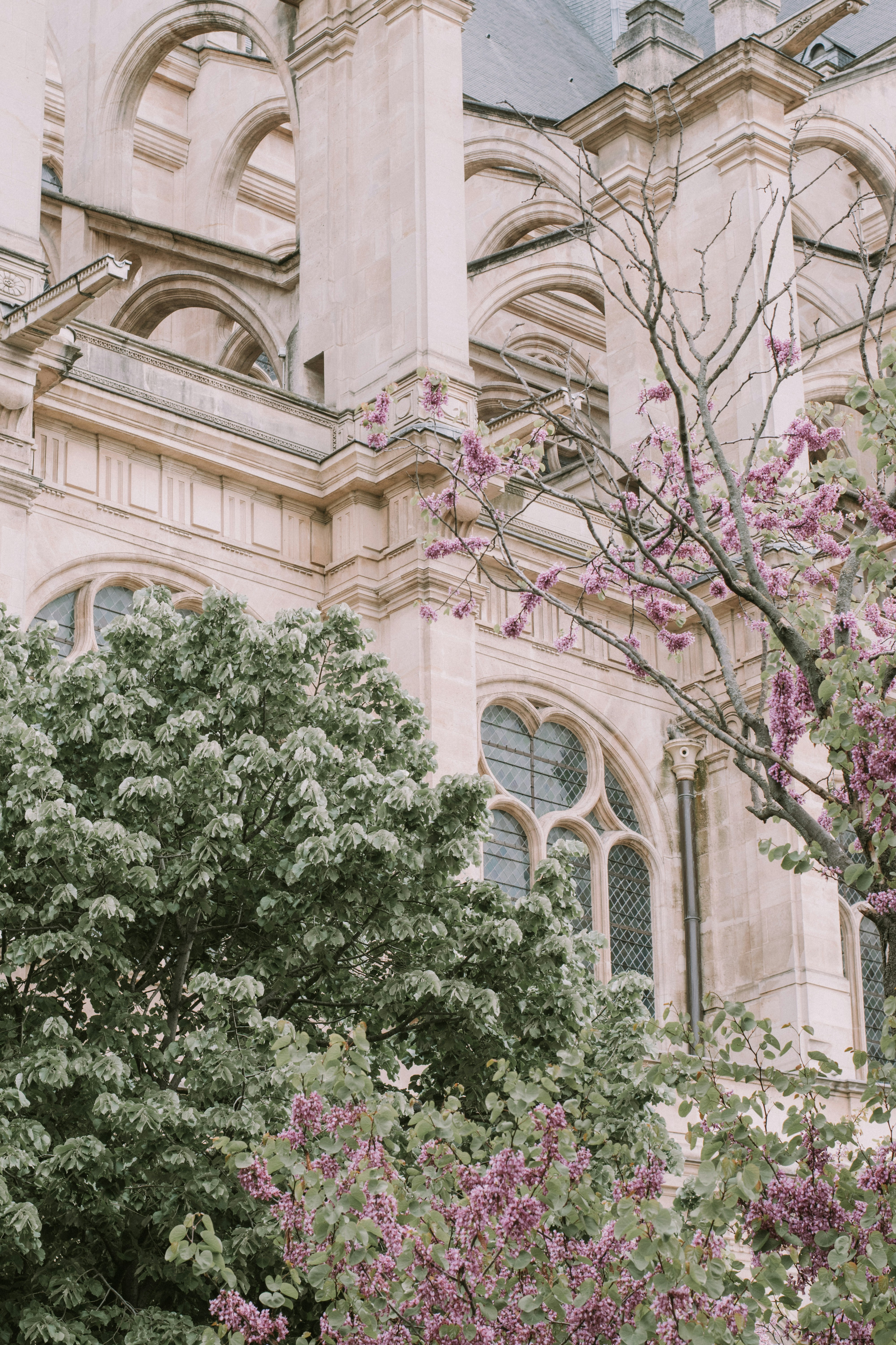 Photo by alexandru_ionescu_m