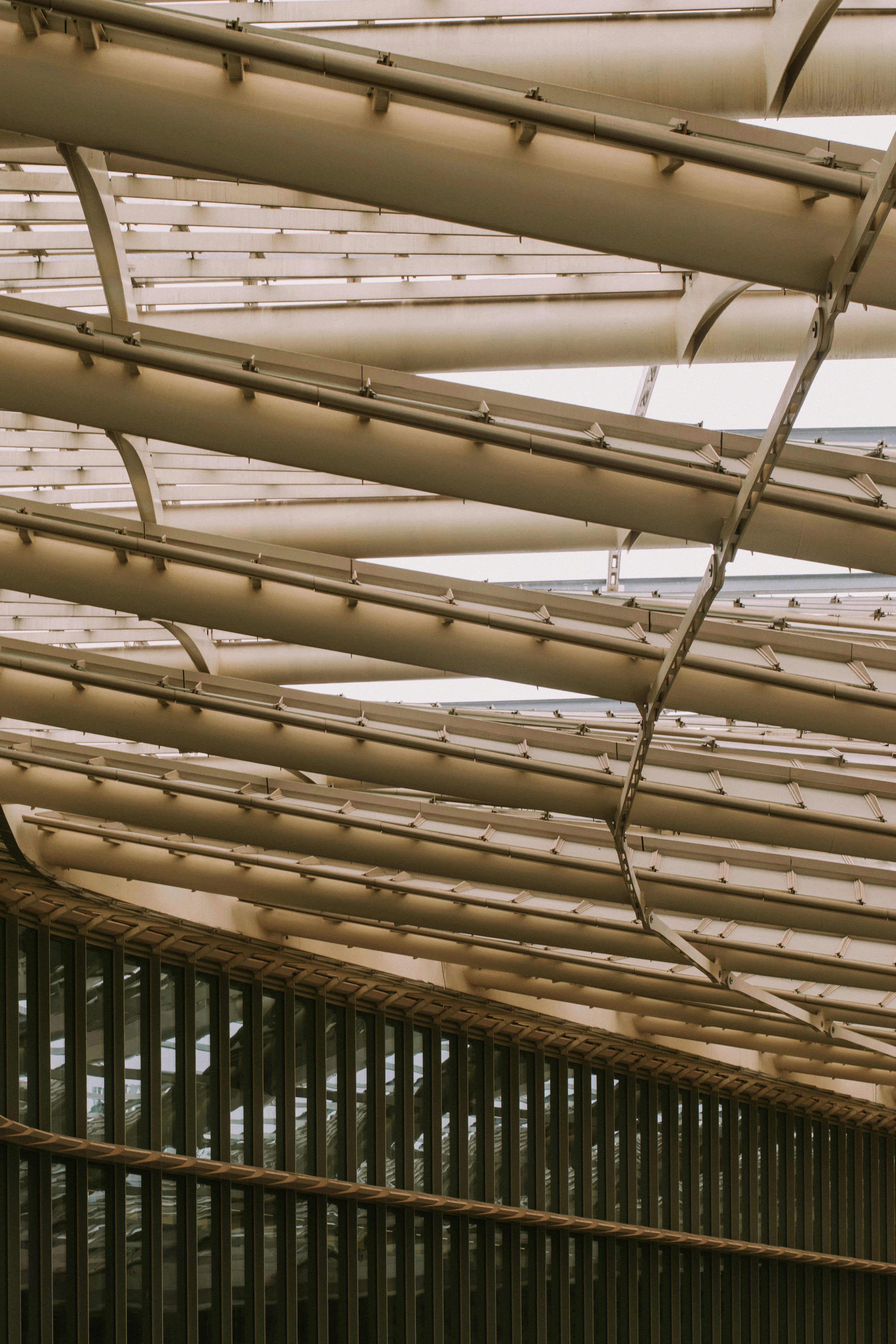 Photo by alexandru_ionescu_m