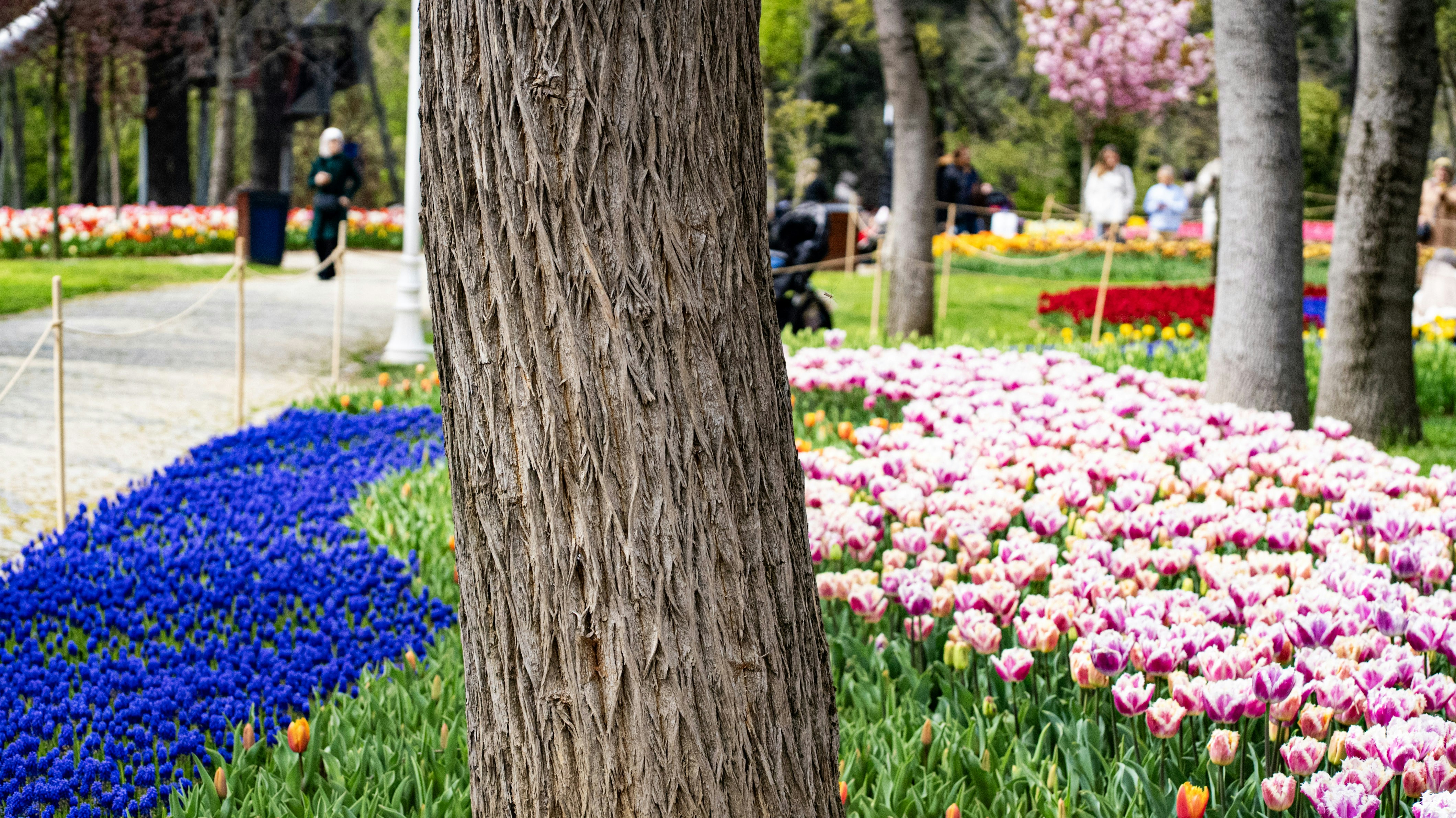 Photo by mihaela_claudia_p