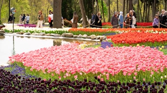 Beautiful flowers bloom in a colorful garden.