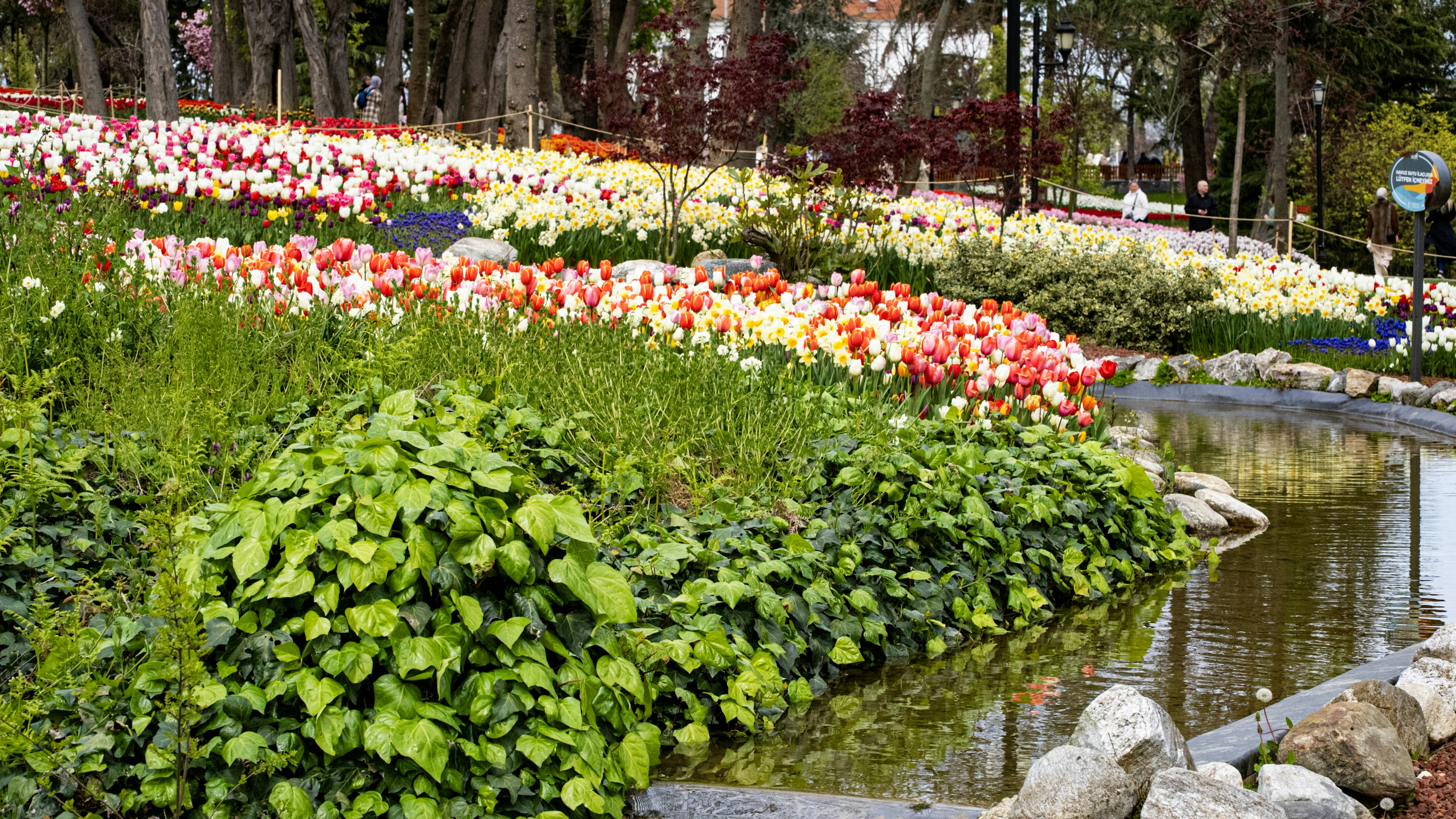 Photo by mihaela_claudia_p