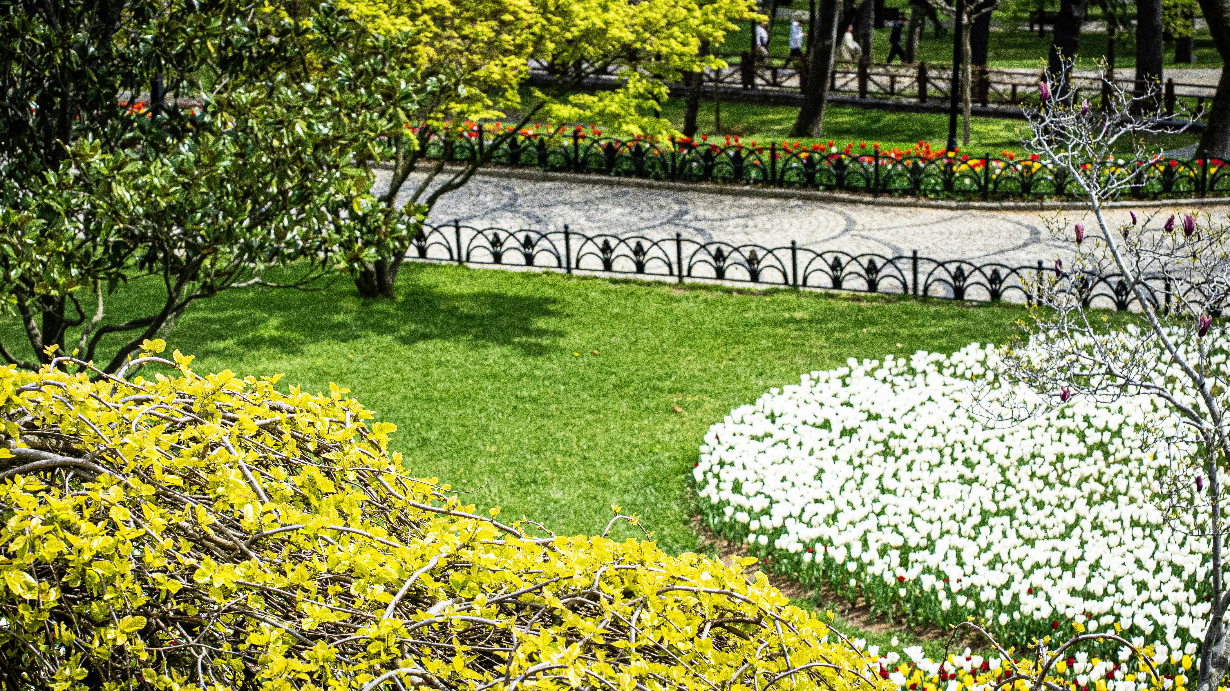 Photo by mihaela_claudia_p