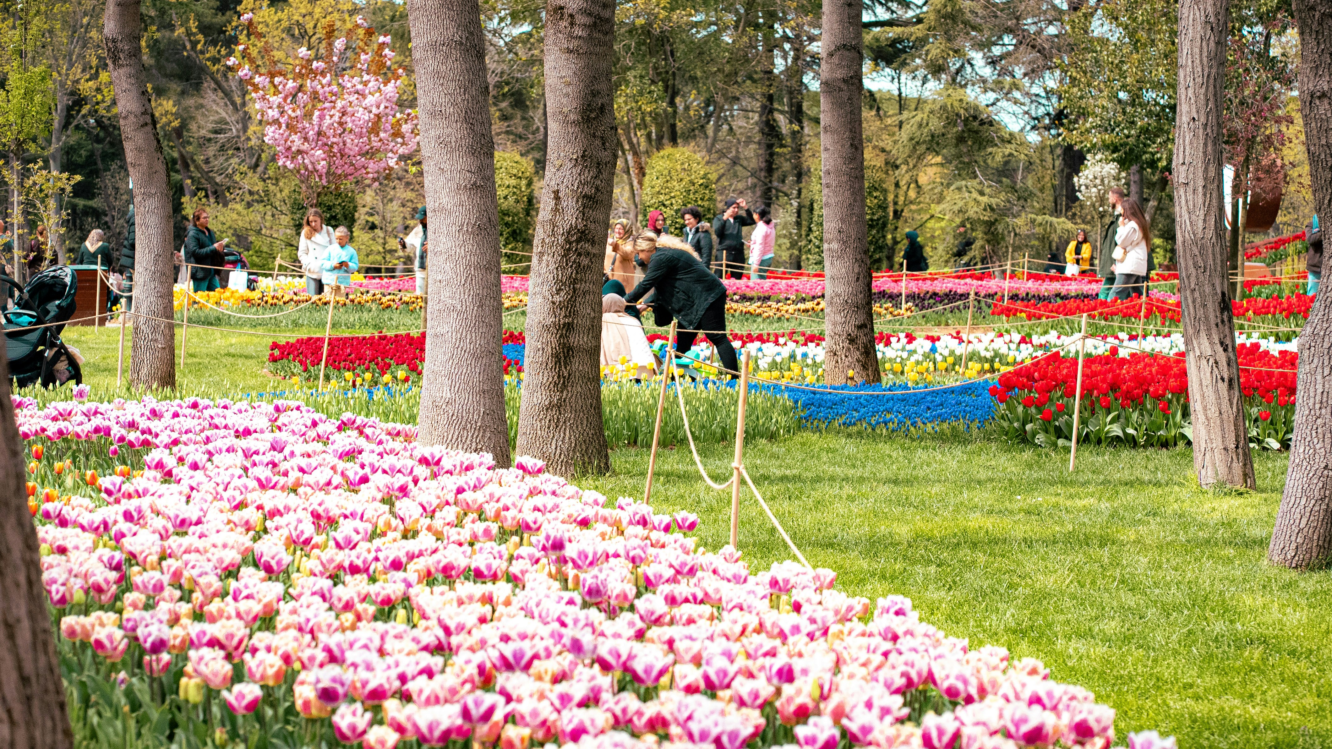 Photo by Mihaela Claudia Puscas on Unsplash