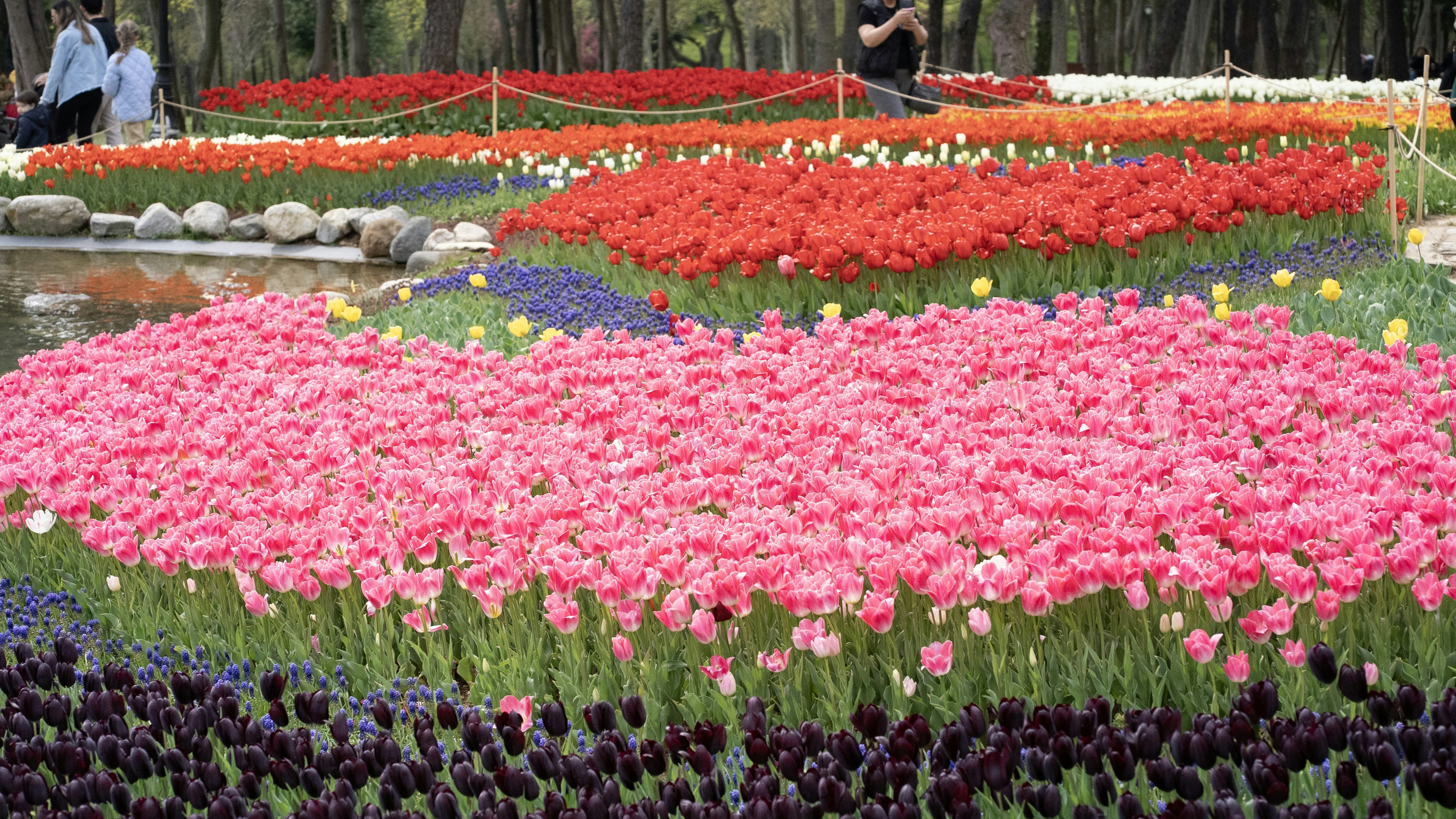 Photo by mihaela_claudia_p