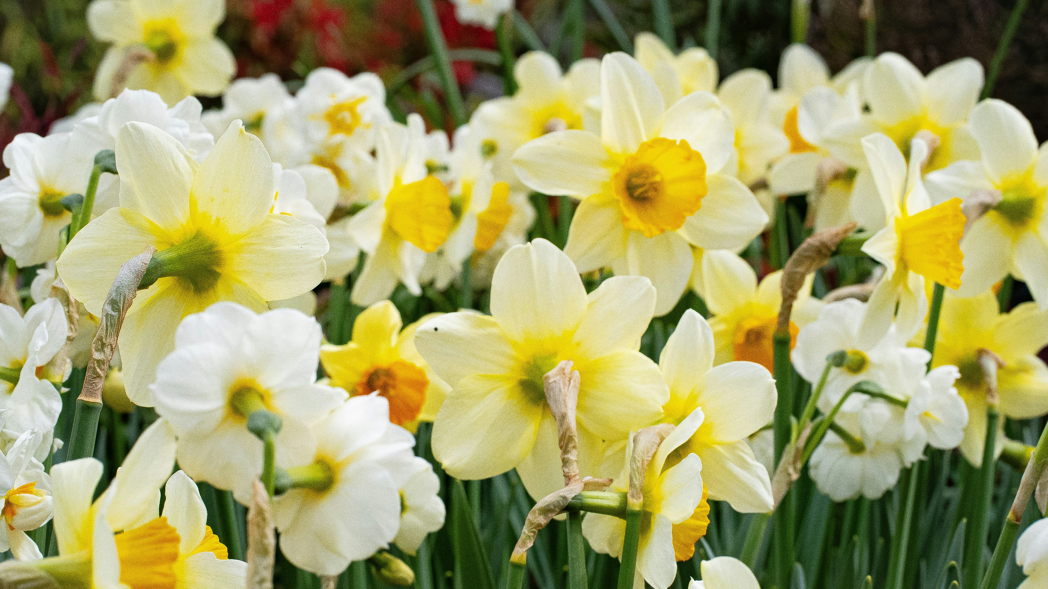 Photo by mihaela_claudia_p