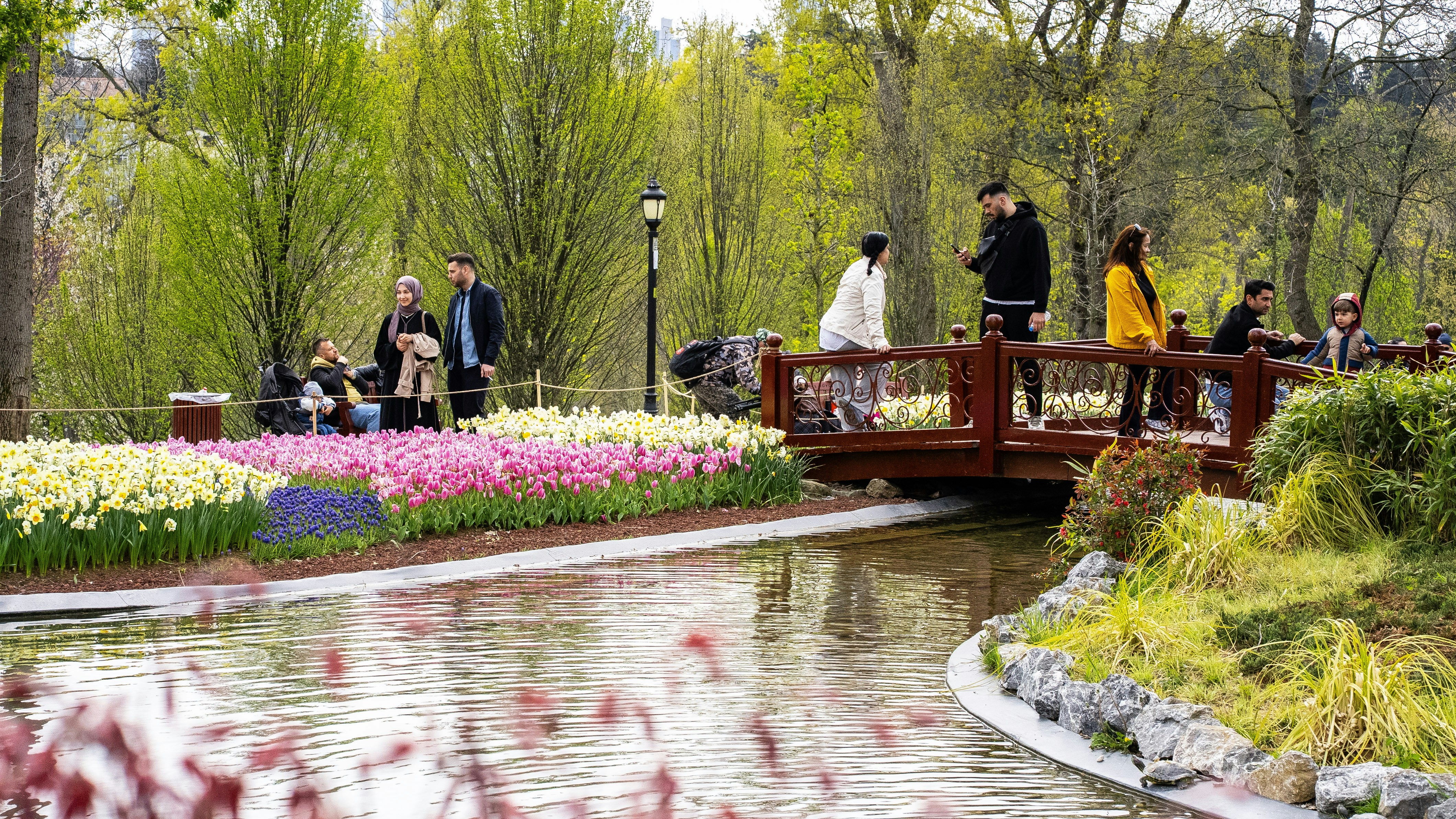 People enjoy a beautiful park with colorful flowers