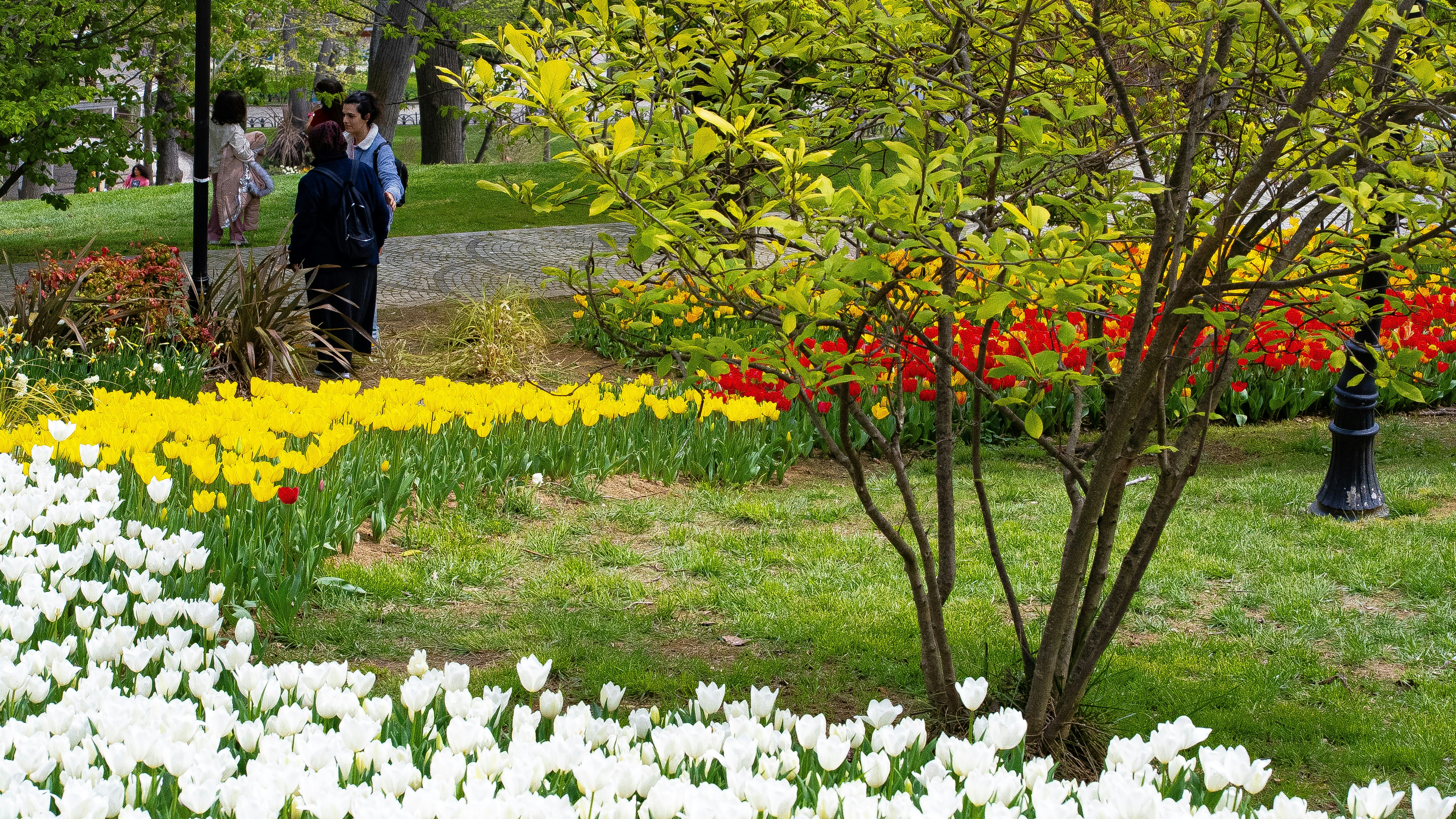 Photo by mihaela_claudia_p