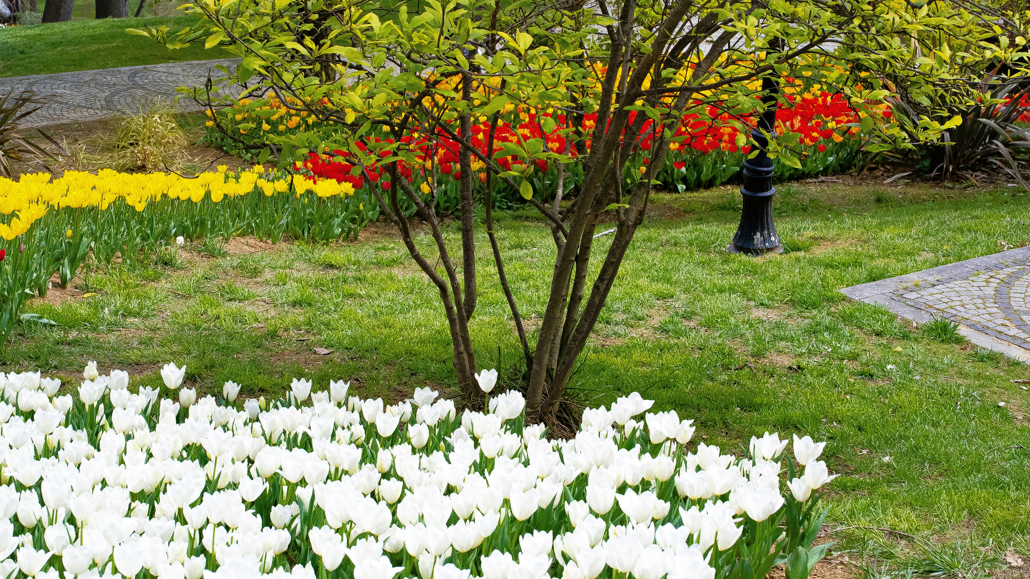 Photo by mihaela_claudia_p