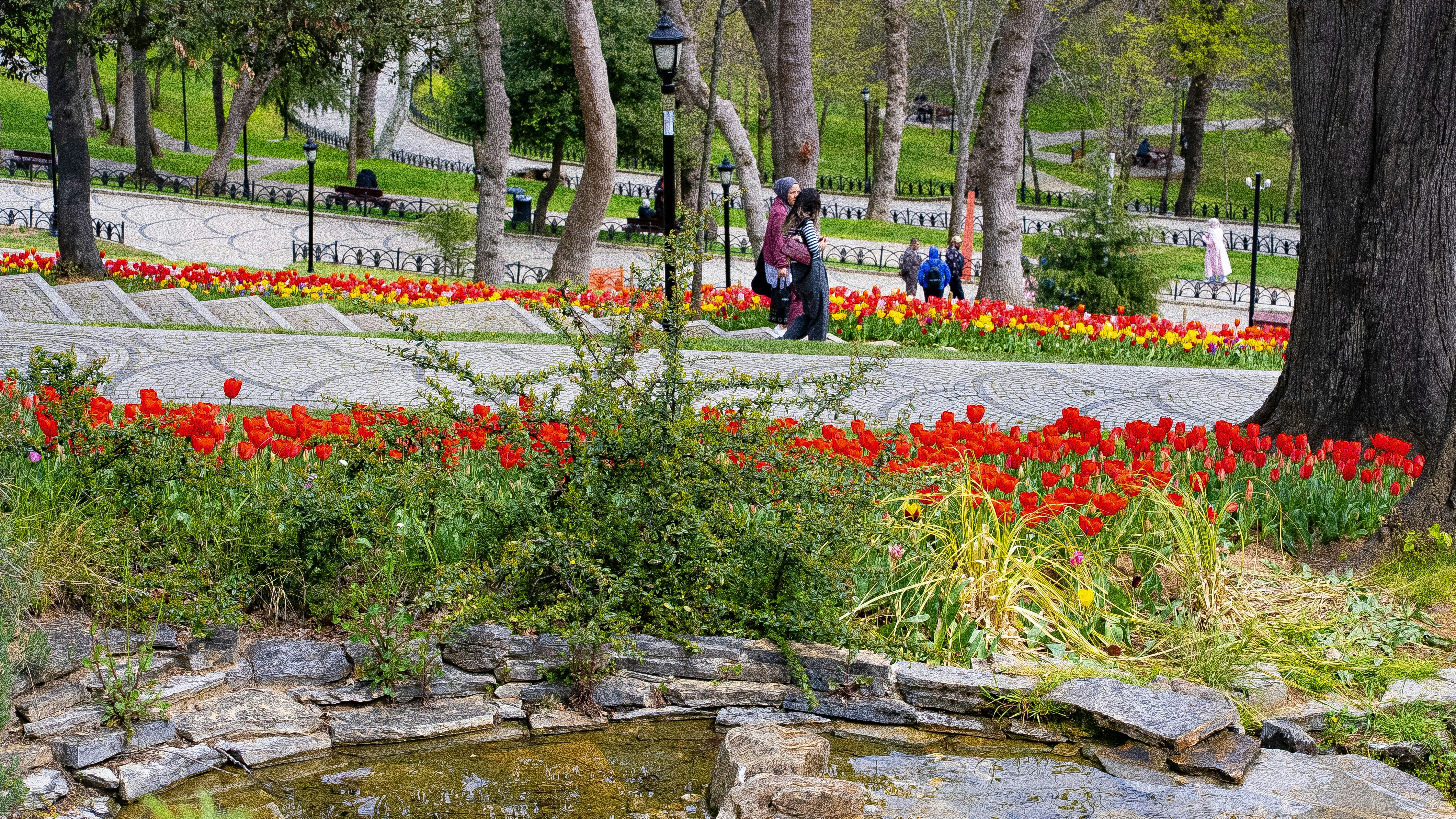 Photo by mihaela_claudia_p