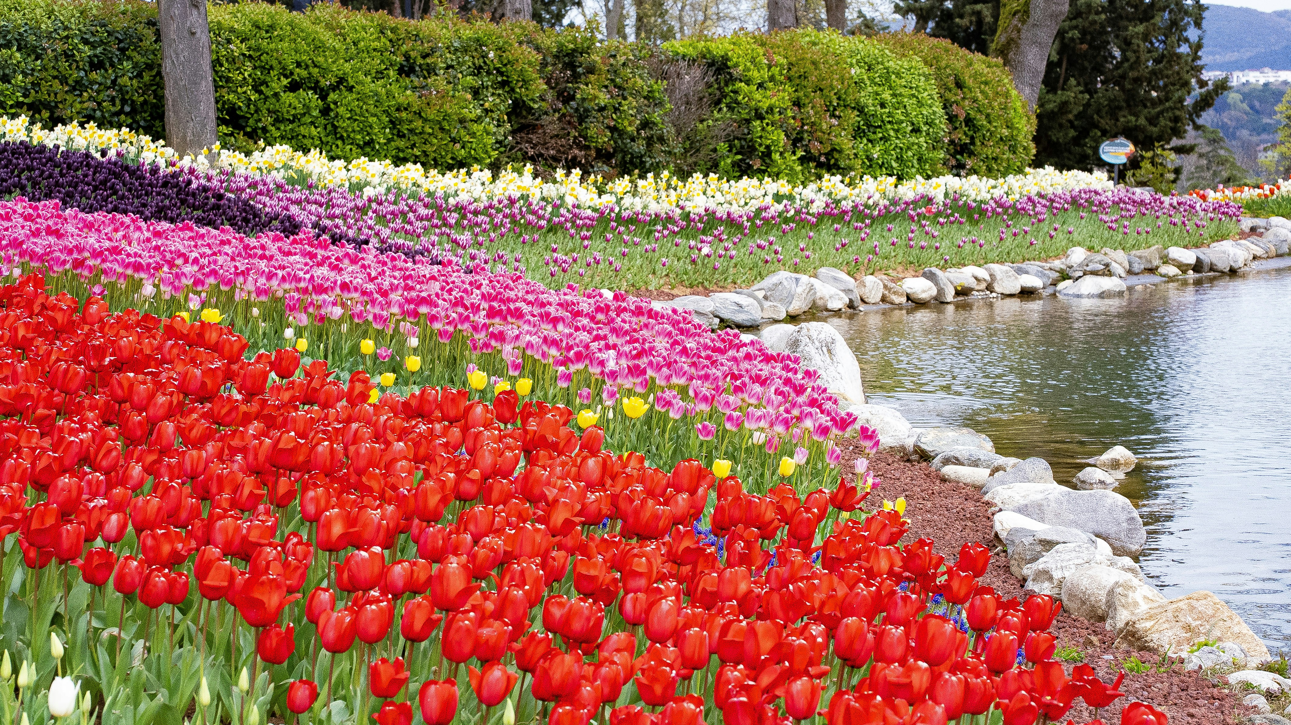 Photo by mihaela_claudia_p