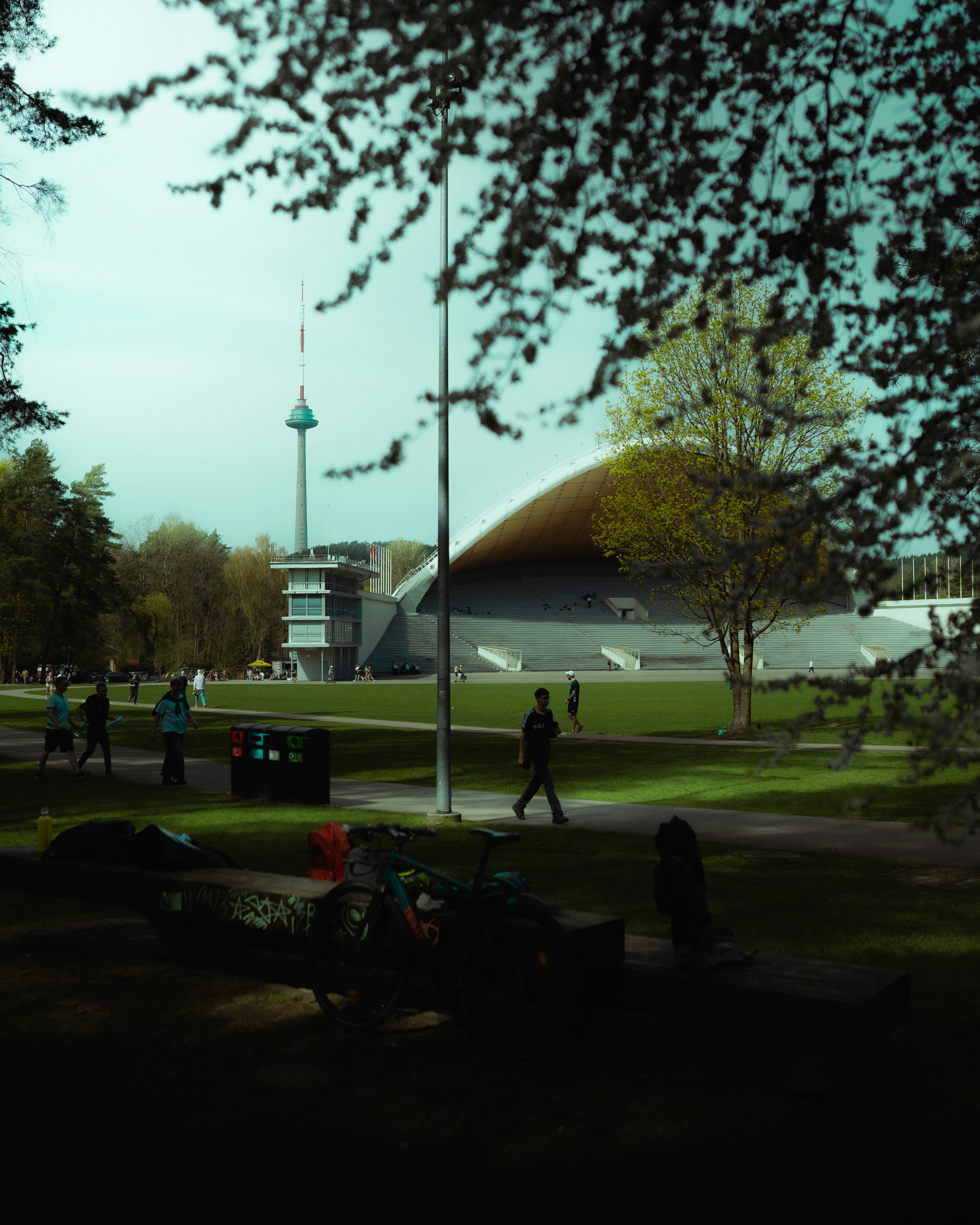 A park with buildings and a tower in the distance.