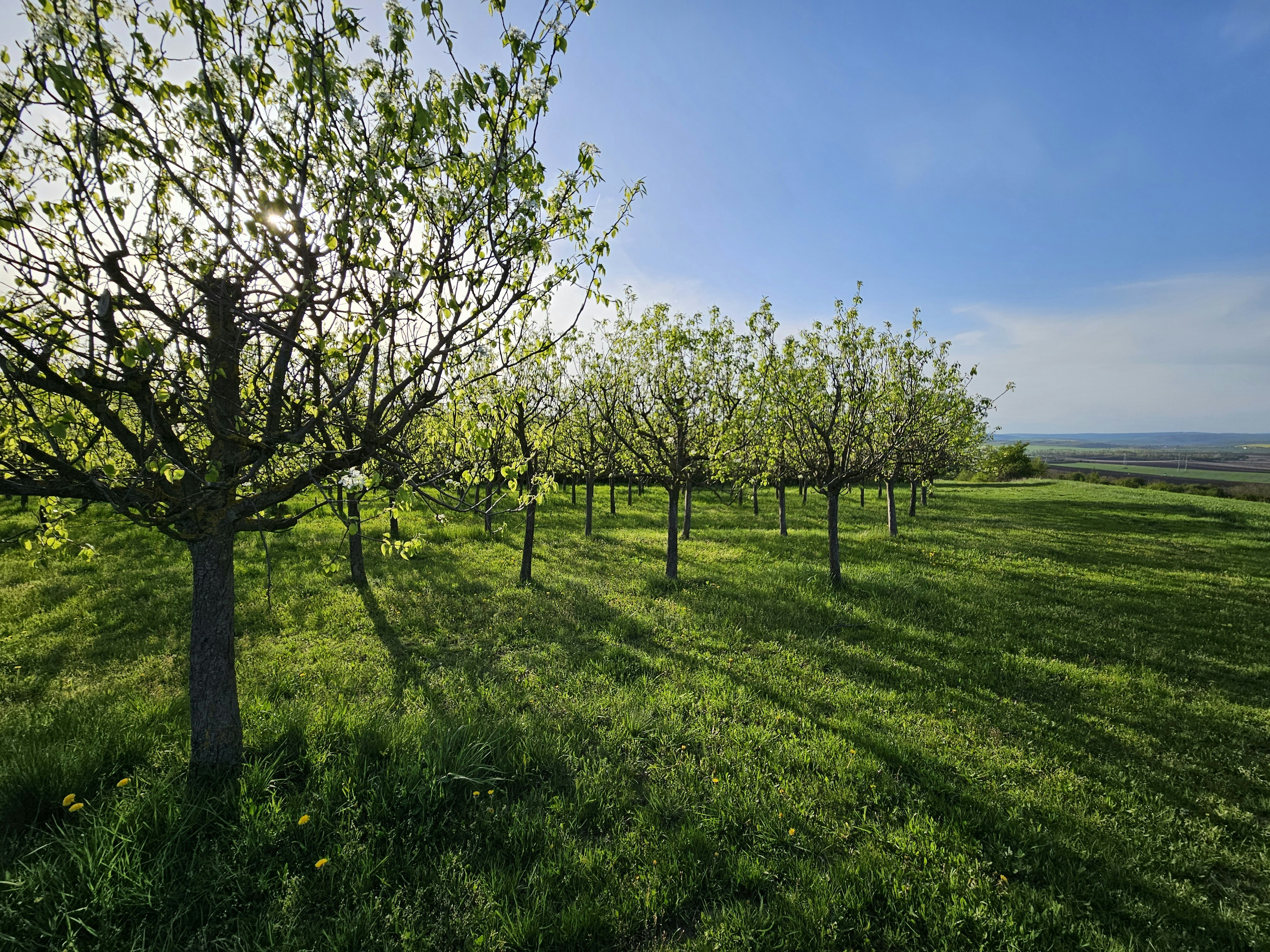 Photo by marjorylucabaxter